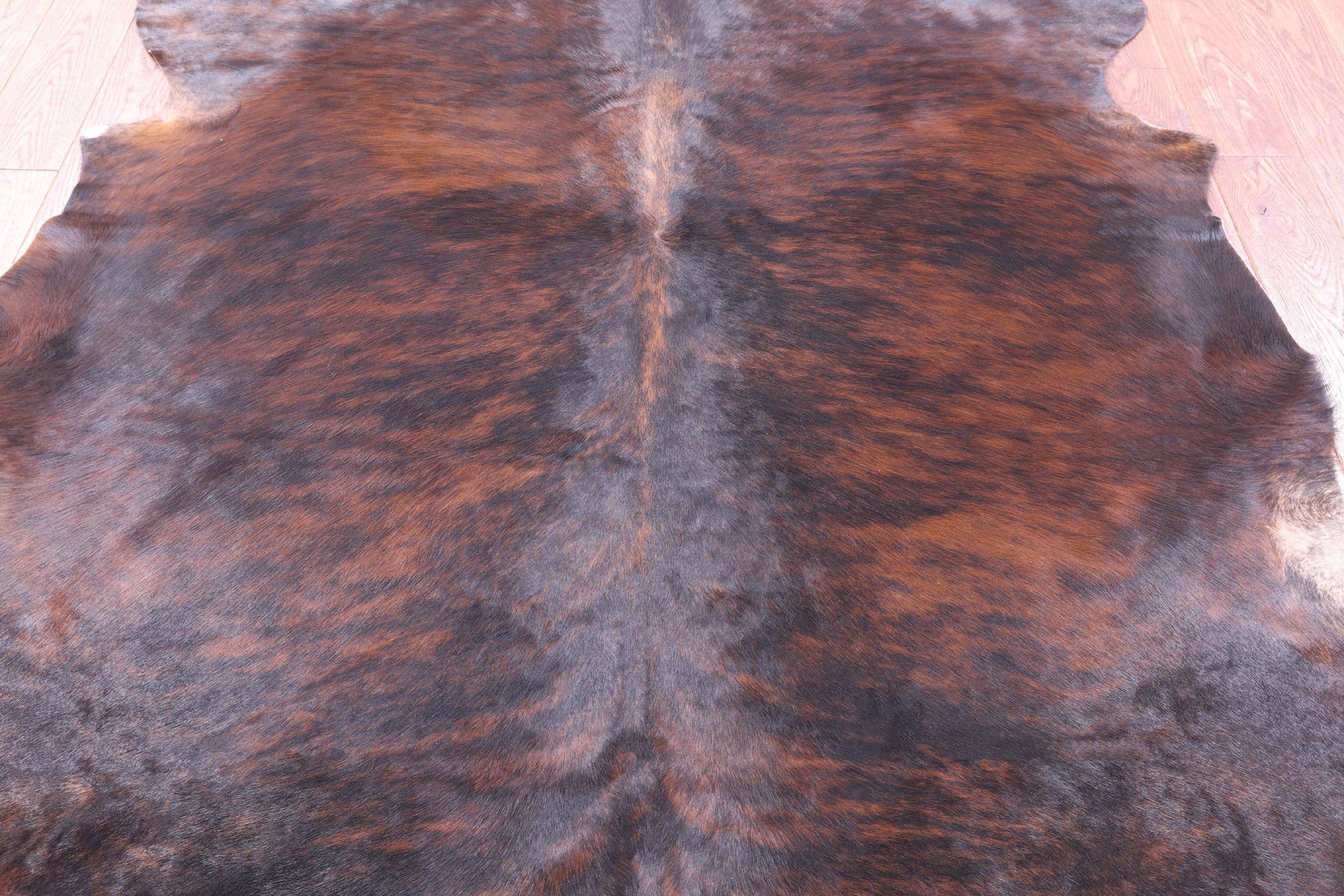 Brindle Natural Hair-On Cowhide Rug - 6' 10" X 6' 2" - Golden Nile