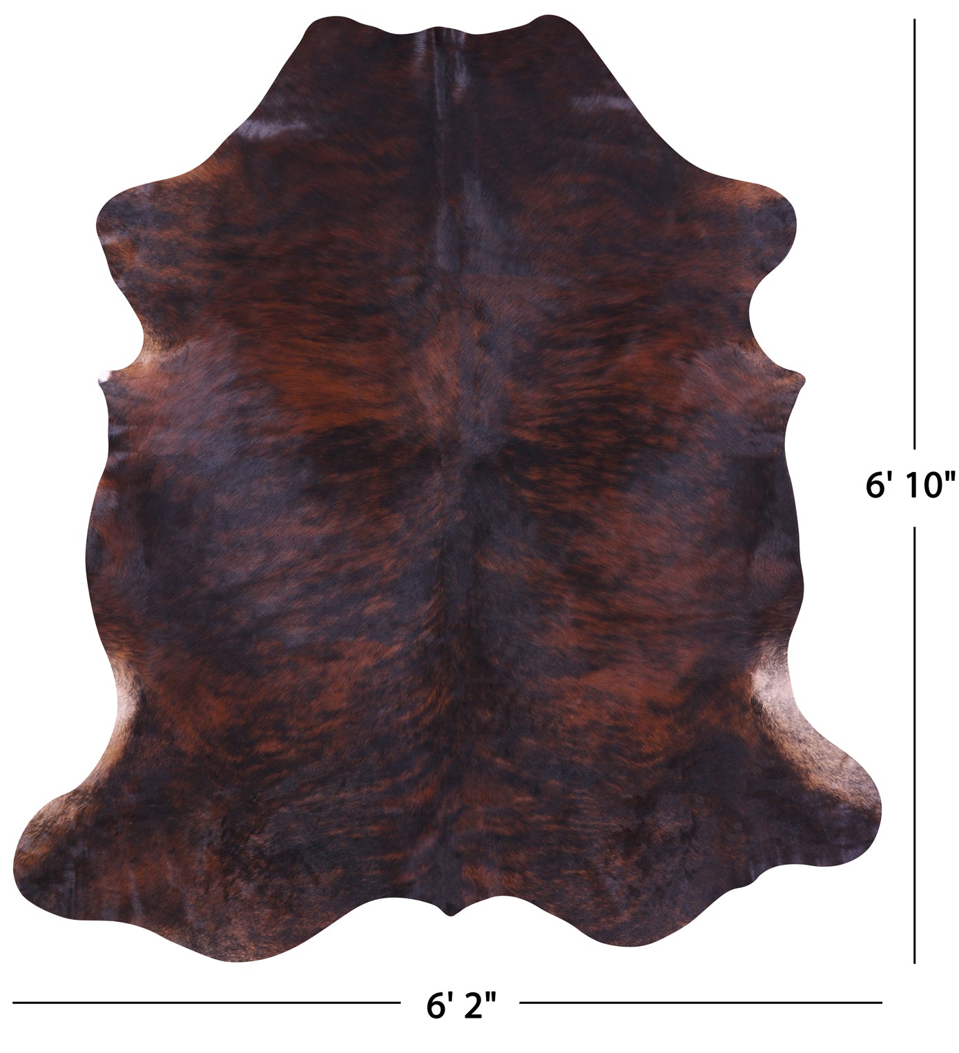 Brindle Natural Hair-On Cowhide Rug - 6' 10" X 6' 2" - Golden Nile
