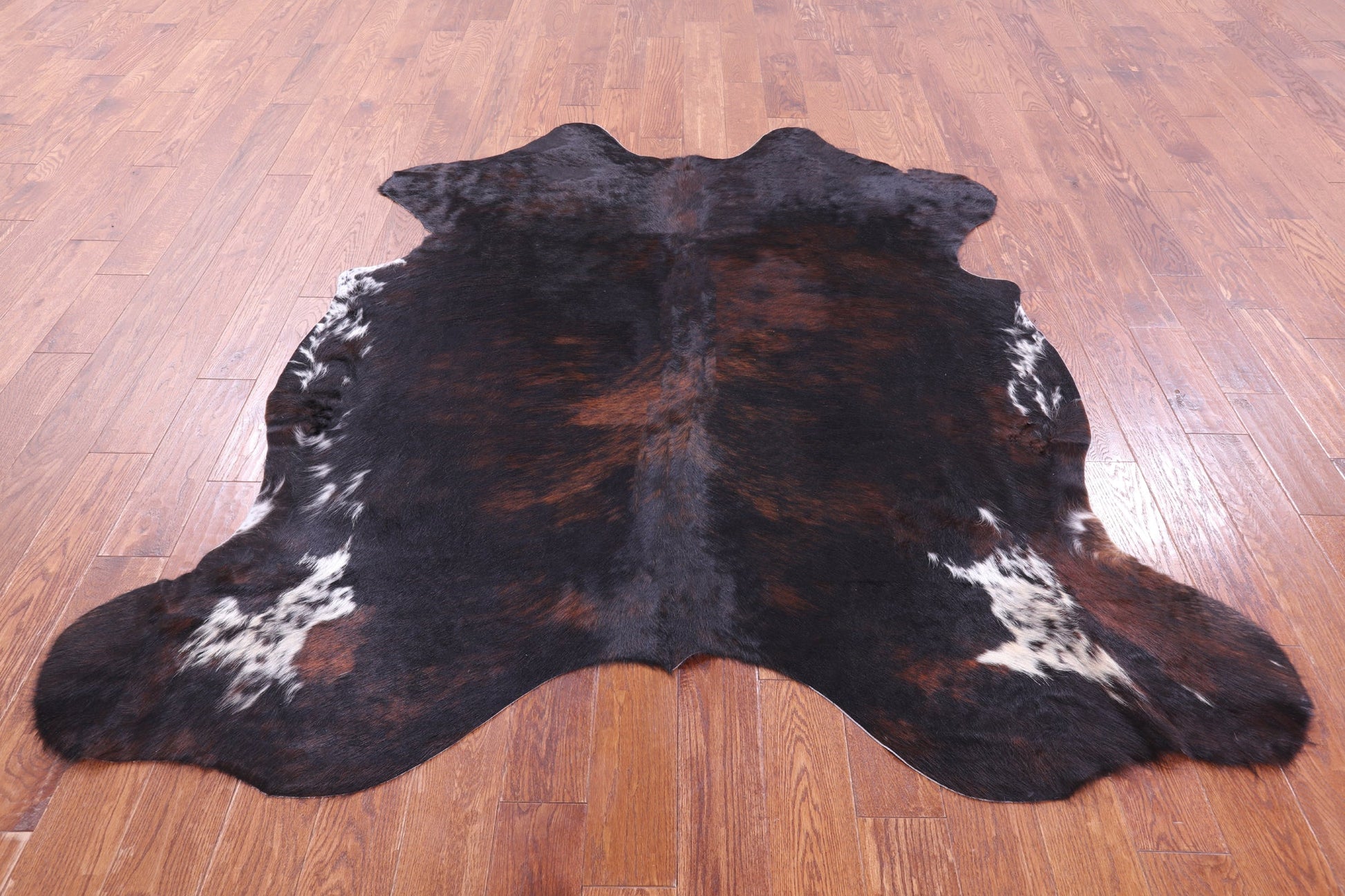 Tricolor Natural Hair-On Cowhide Rug - 6' 8" X 6' 6" - Golden Nile