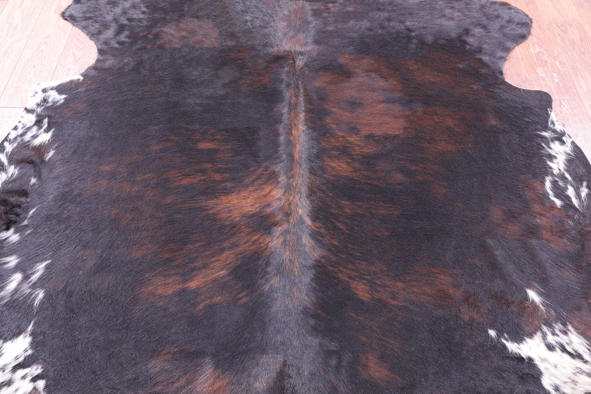 Tricolor Natural Hair-On Cowhide Rug - 6' 8" X 6' 6" - Golden Nile