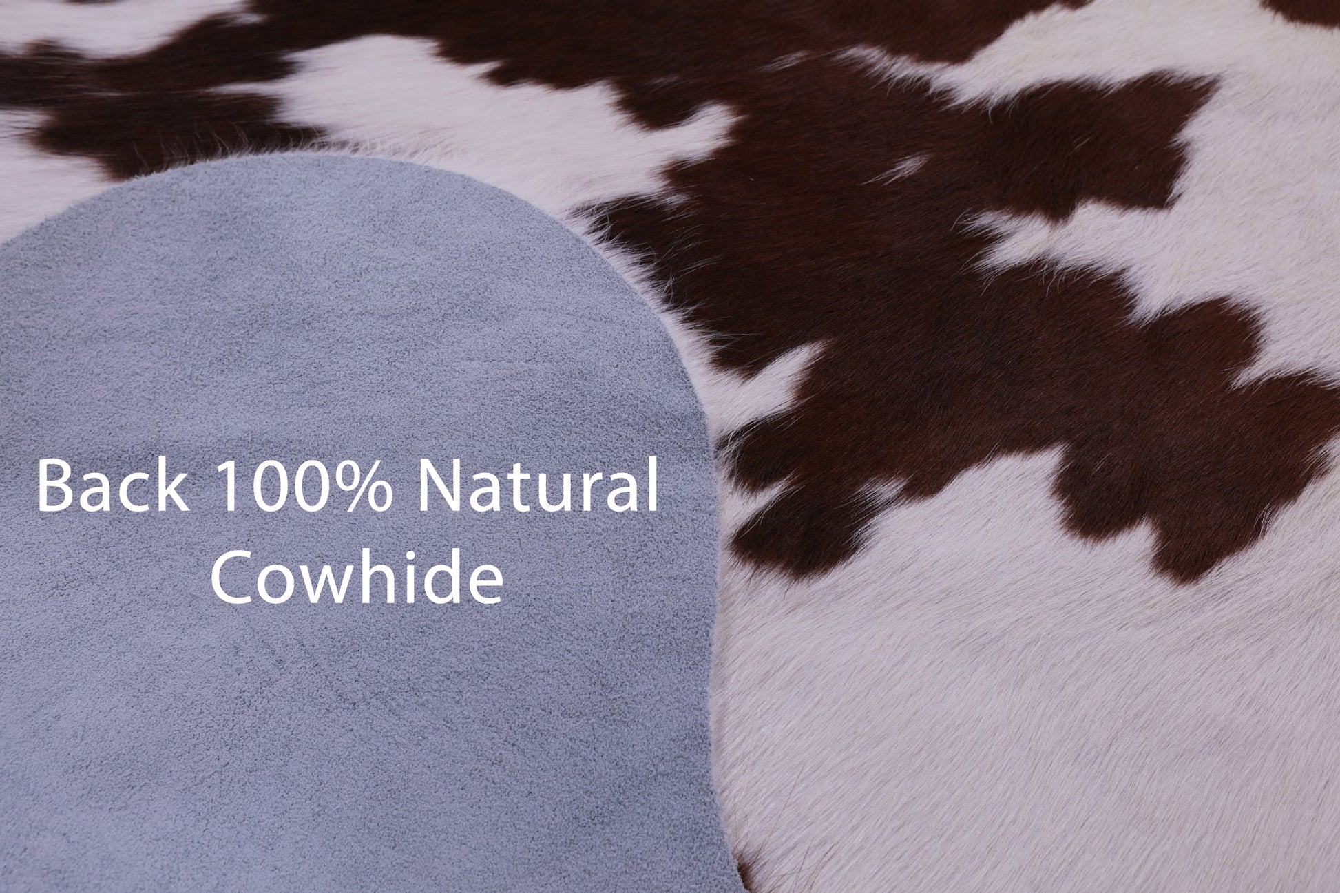 Brown & White Natural Hair-On Cowhide Rug - 6' 8" X 5' 10" - Golden Nile
