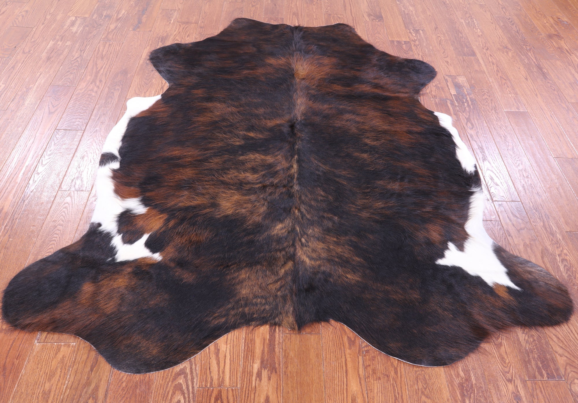Brindle Natural Hair-On Cowhide Rug - 6' 11" X 6' 5" - Golden Nile