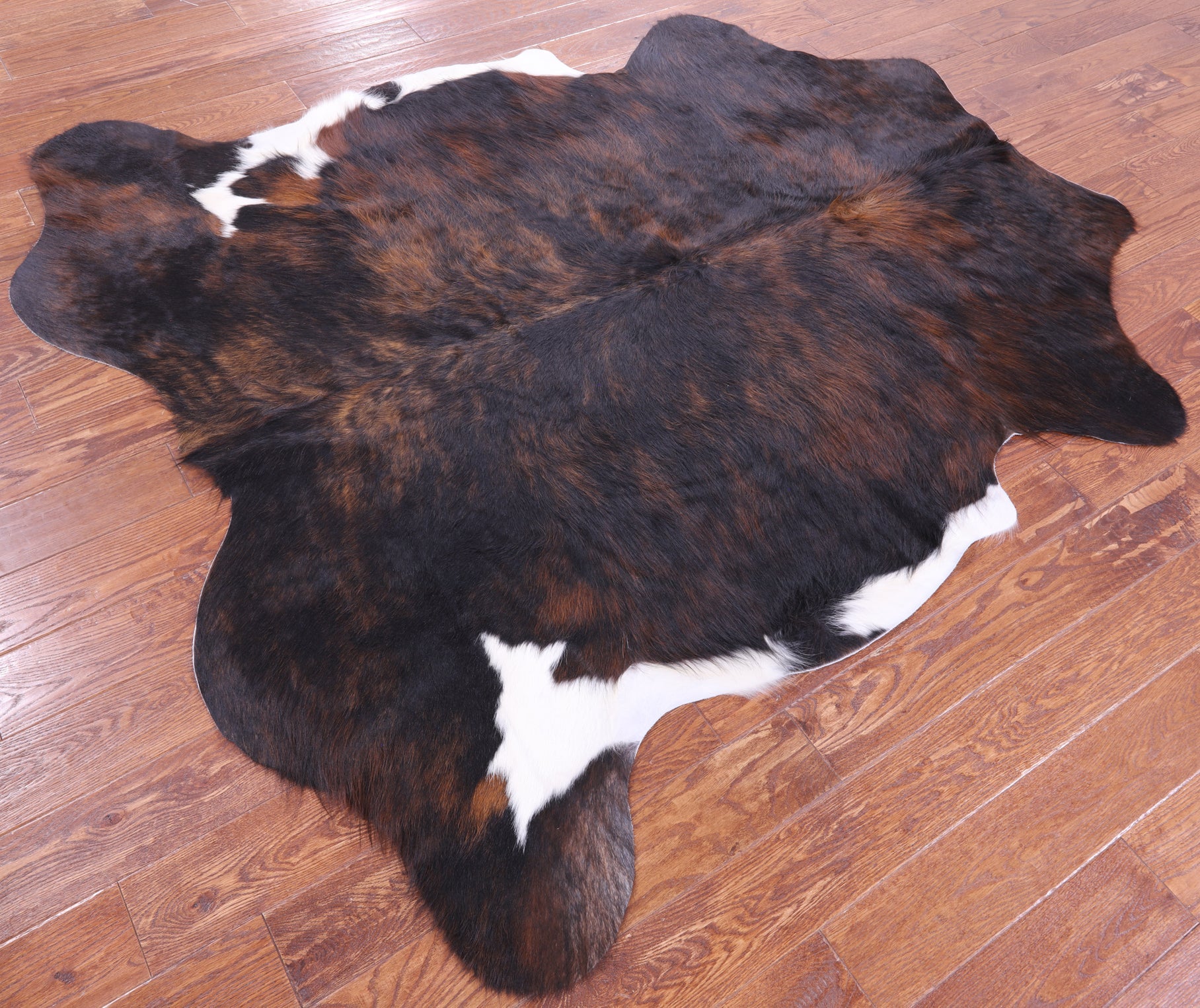 Brindle Natural Hair-On Cowhide Rug - 6' 11" X 6' 5" - Golden Nile