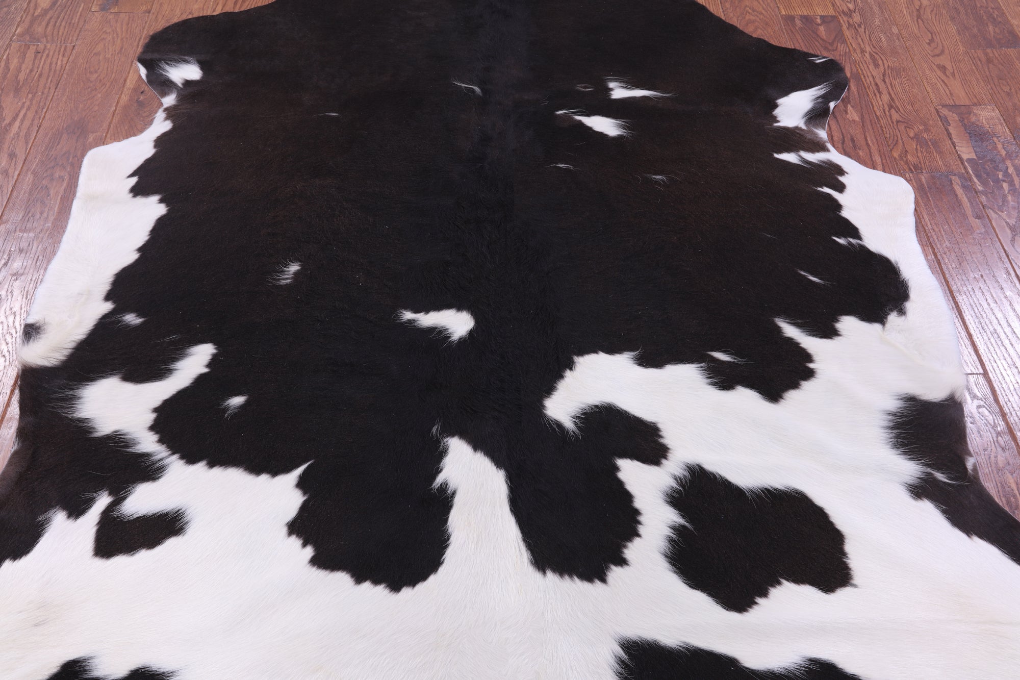 Brown & White Natural Hair-On Cowhide Rug - 7' 0" X 6' 2" - Golden Nile