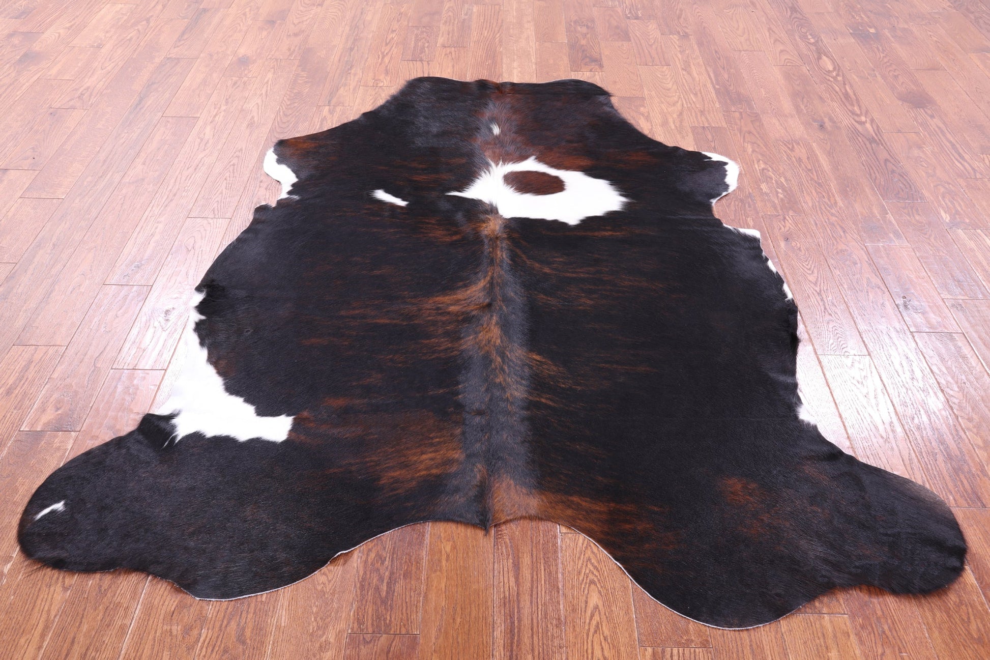 Tricolor Natural Hair-On Cowhide Rug - 6' 7" X 6' 0" - Golden Nile