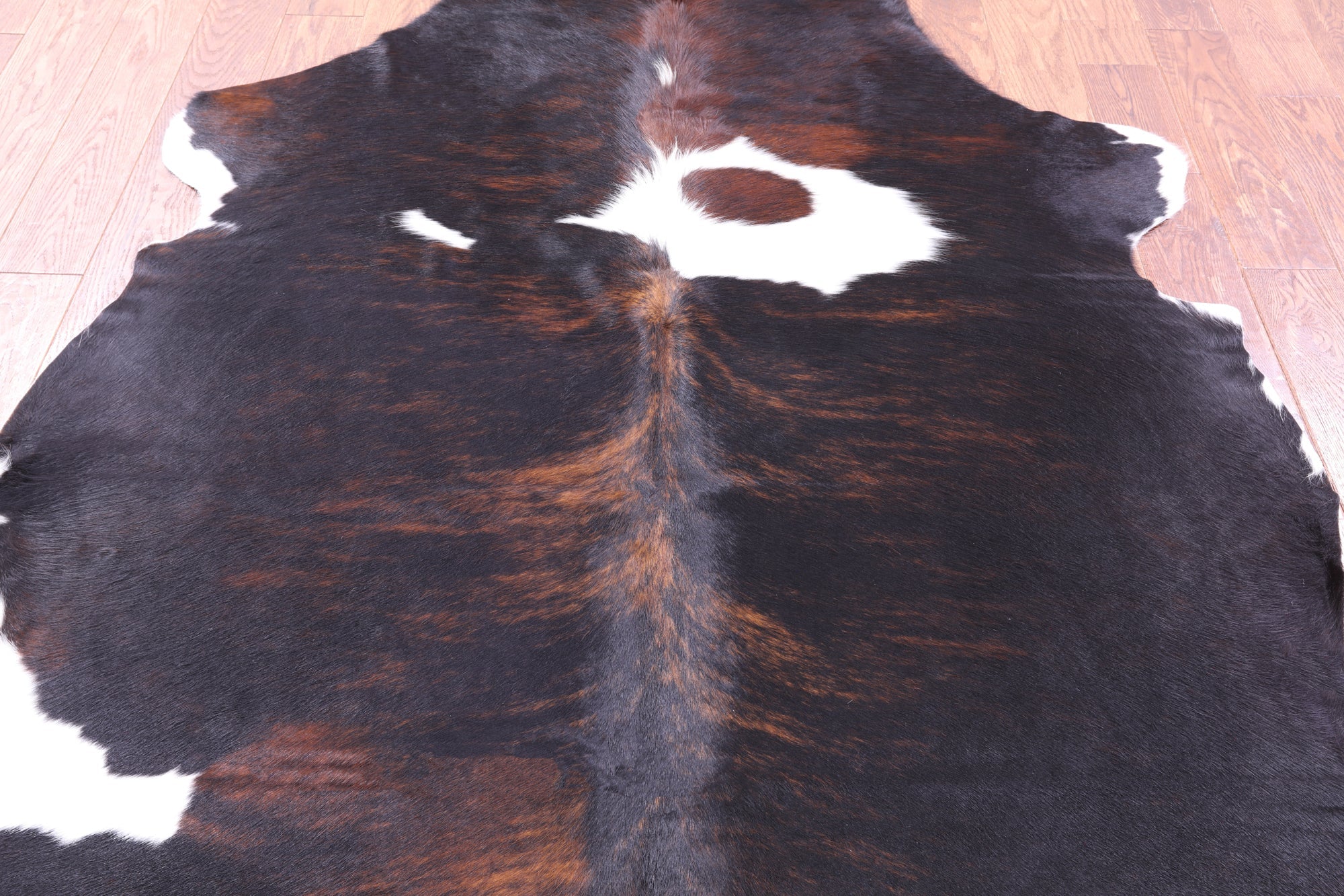 Tricolor Natural Hair-On Cowhide Rug - 6' 7" X 6' 0" - Golden Nile