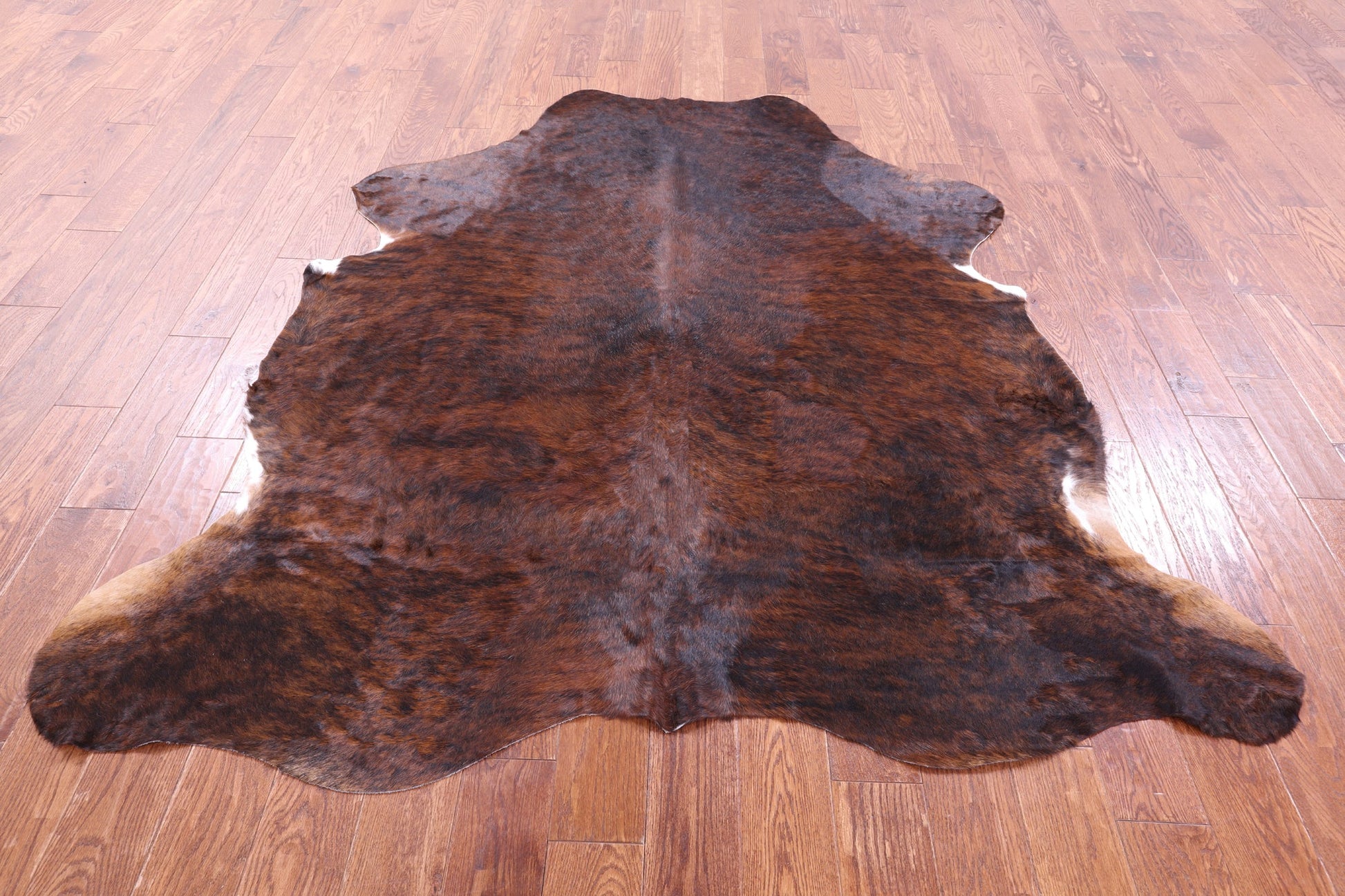 Brindle Natural Hair-On Cowhide Rug - 6' 11" X 6' 3" - Golden Nile