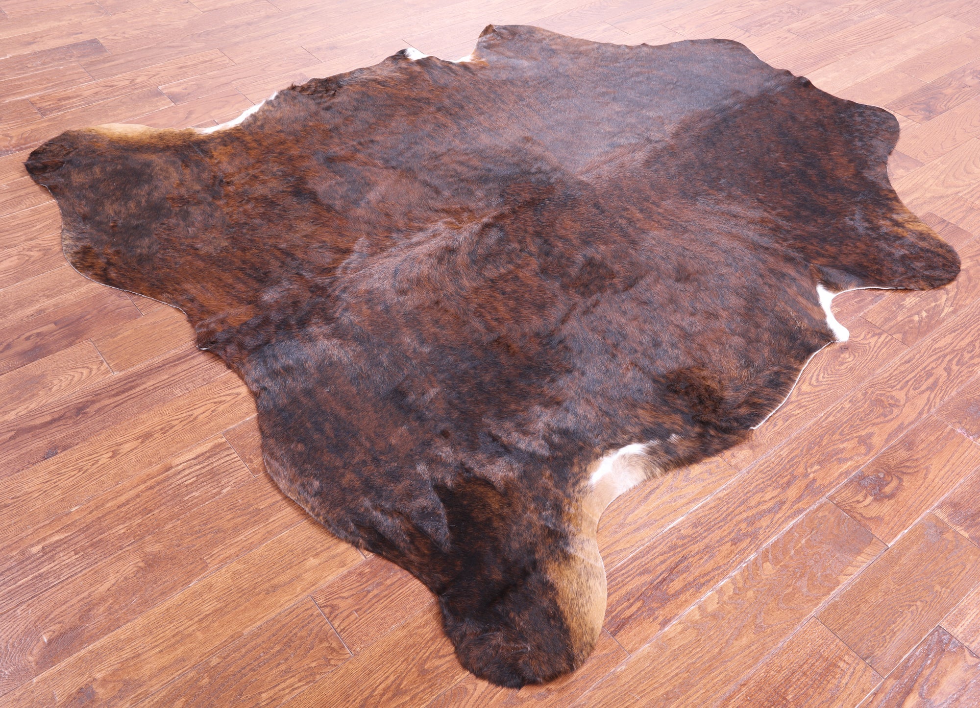 Brindle Natural Hair-On Cowhide Rug - 6' 11" X 6' 3" - Golden Nile