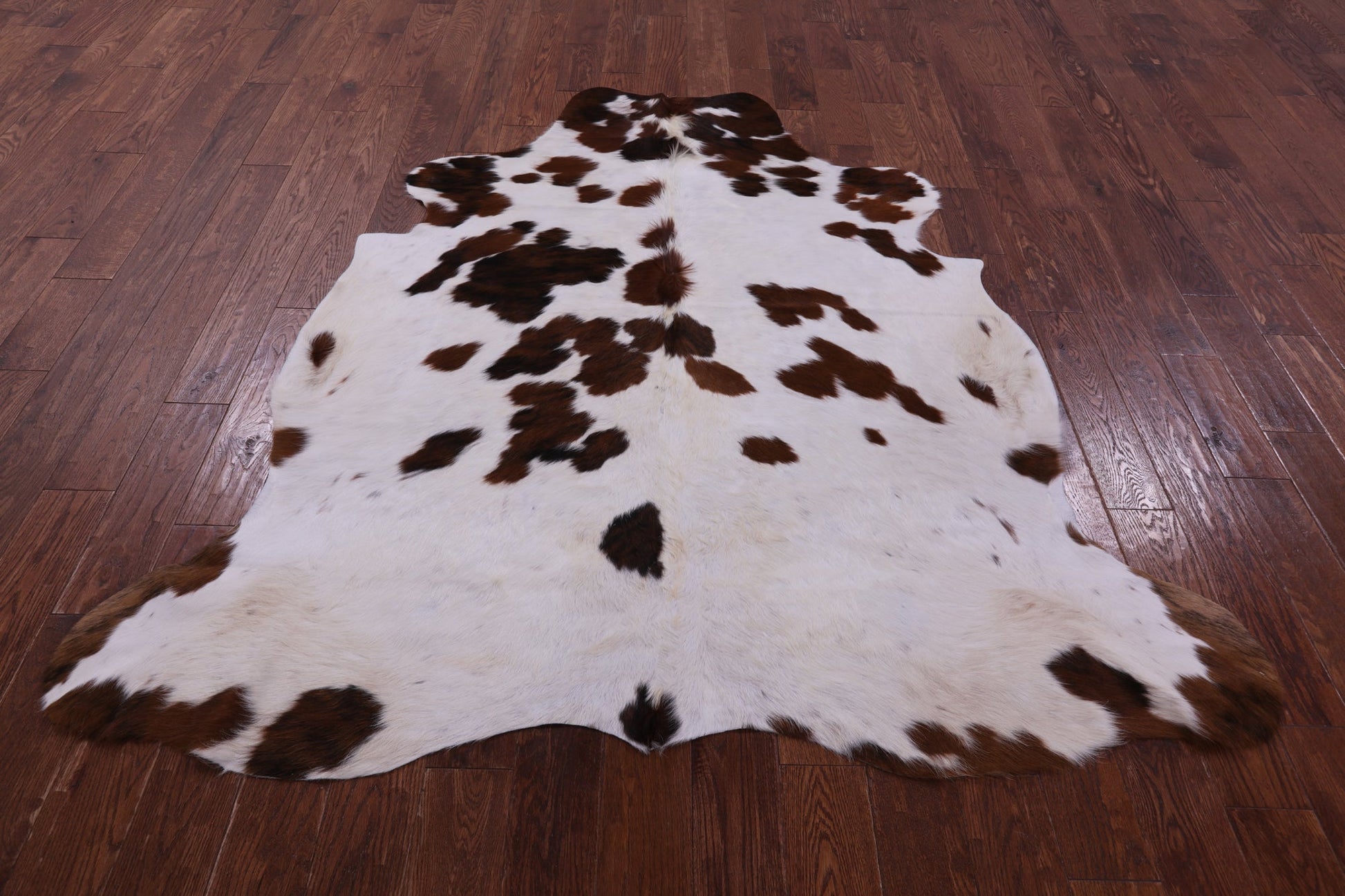 Brown & White Natural Hair-On Cowhide Rug - 6' 7" X 6' 3" - Golden Nile