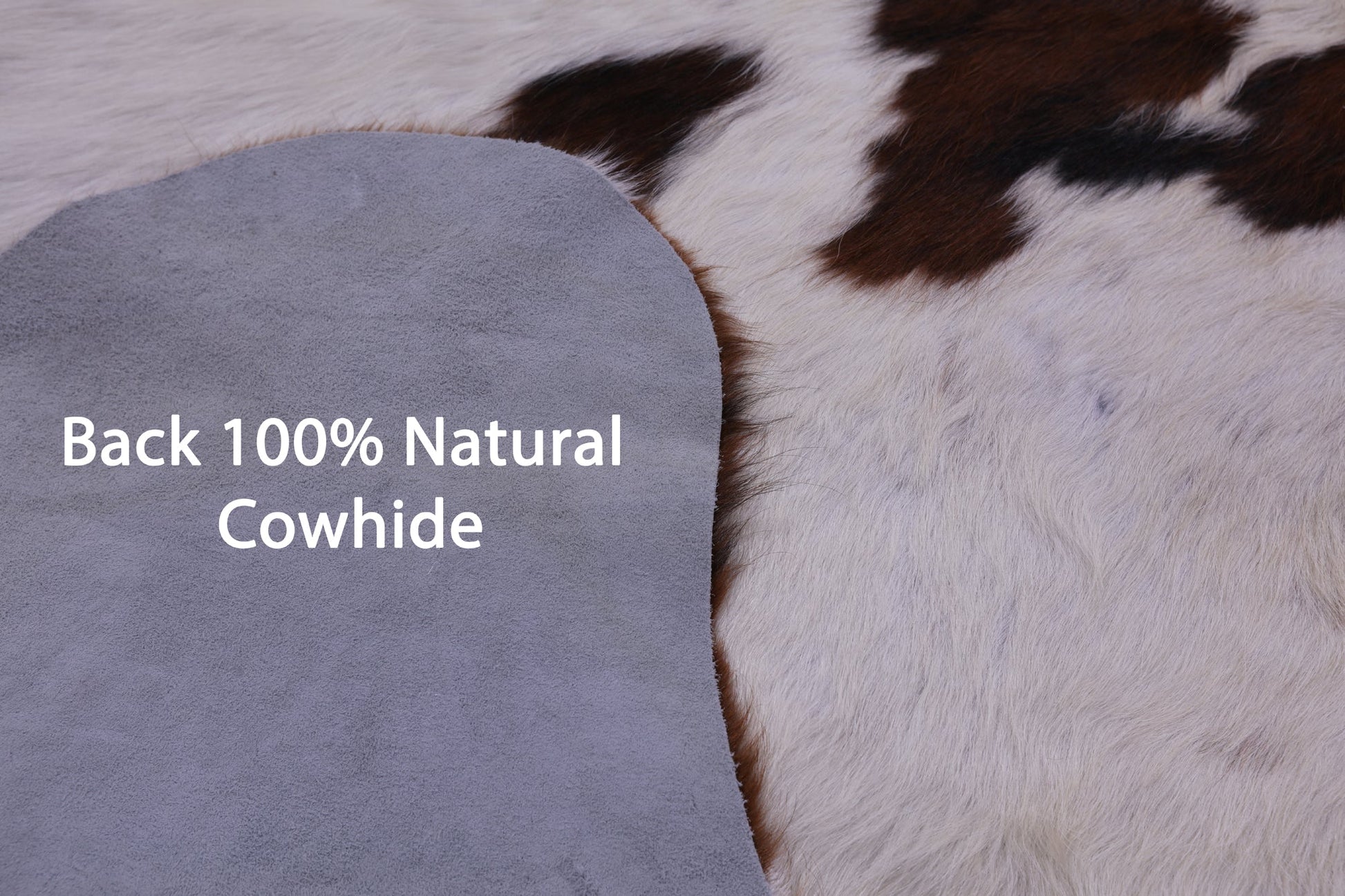 Brown & White Natural Hair-On Cowhide Rug - 6' 7" X 6' 3" - Golden Nile