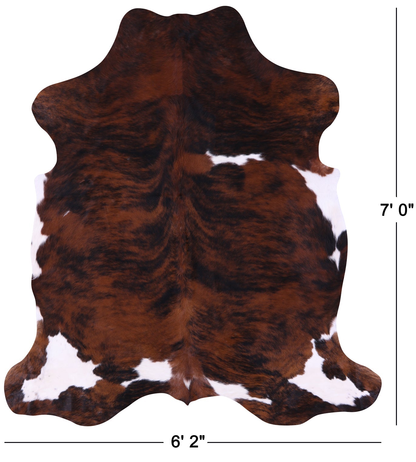 Tricolor Natural Hair-On Cowhide Rug - 7' 0" X 6' 2" - Golden Nile