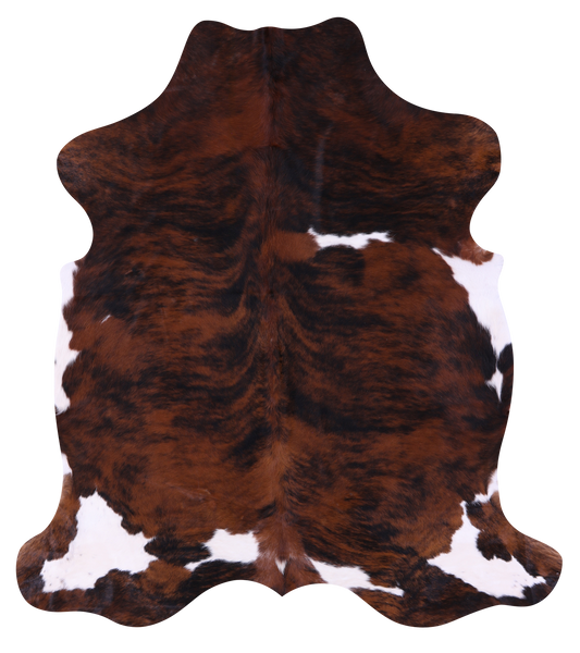 Tricolor Natural Hair-On Cowhide Rug - 7' 0" X 6' 2" - Golden Nile
