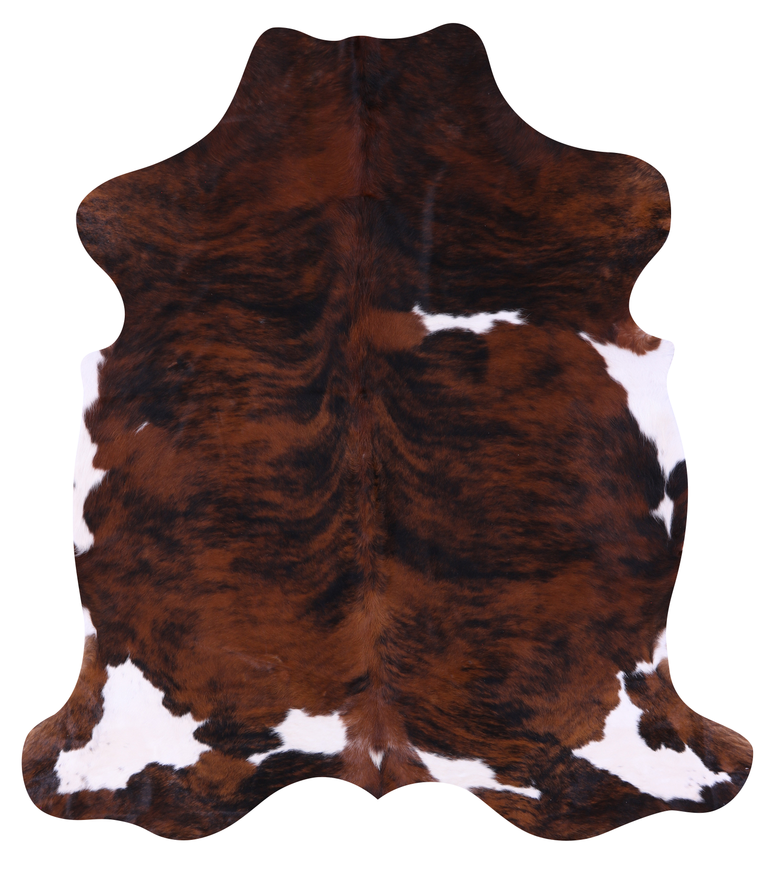 Tricolor Natural Hair-On Cowhide Rug - 7' 0" X 6' 2" - Golden Nile