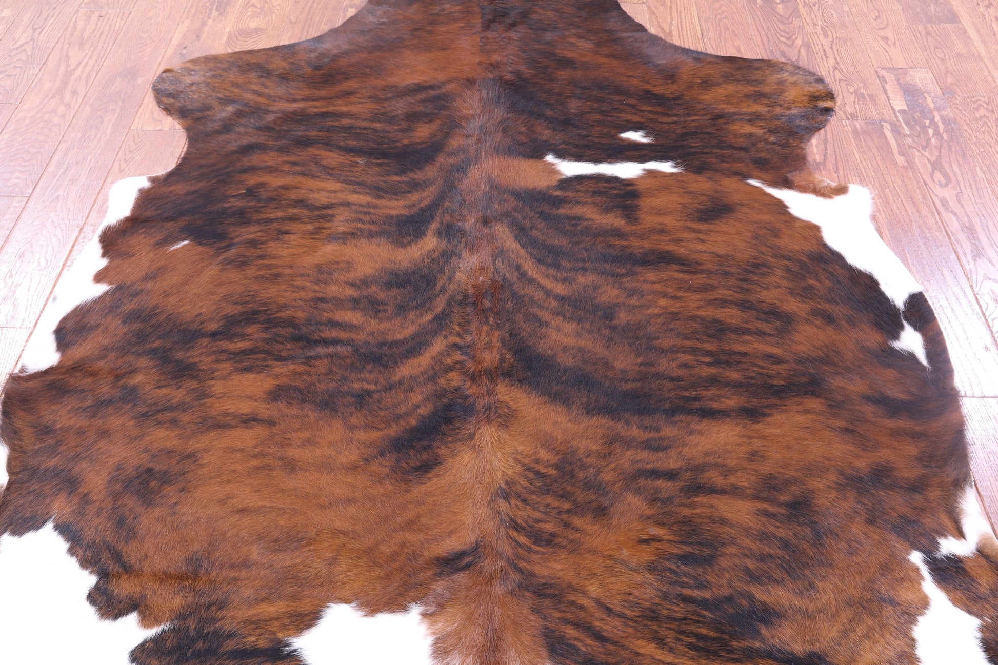 Tricolor Natural Hair-On Cowhide Rug - 7' 0" X 6' 2" - Golden Nile