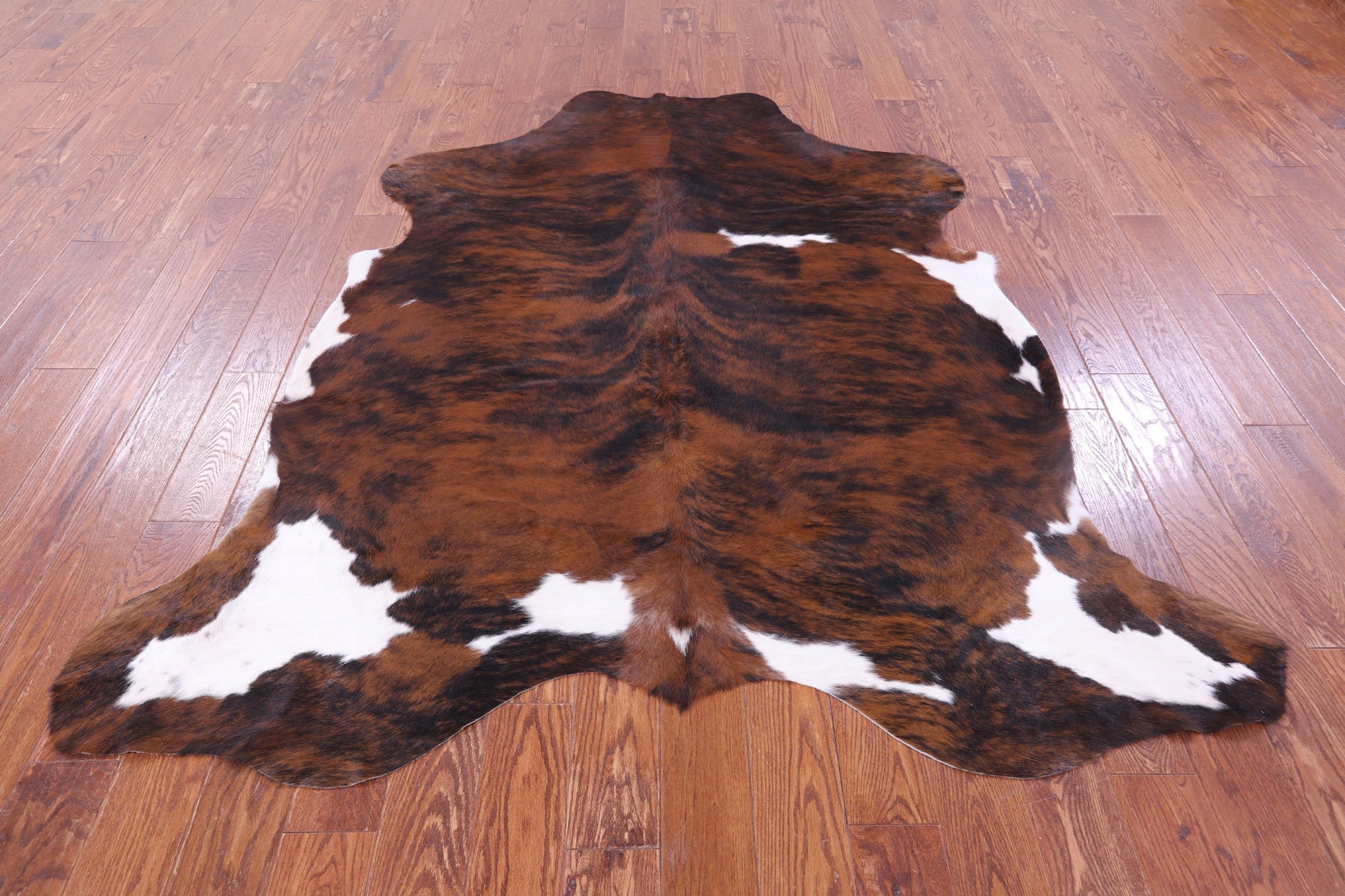 Tricolor Natural Hair-On Cowhide Rug - 7' 0" X 6' 2" - Golden Nile