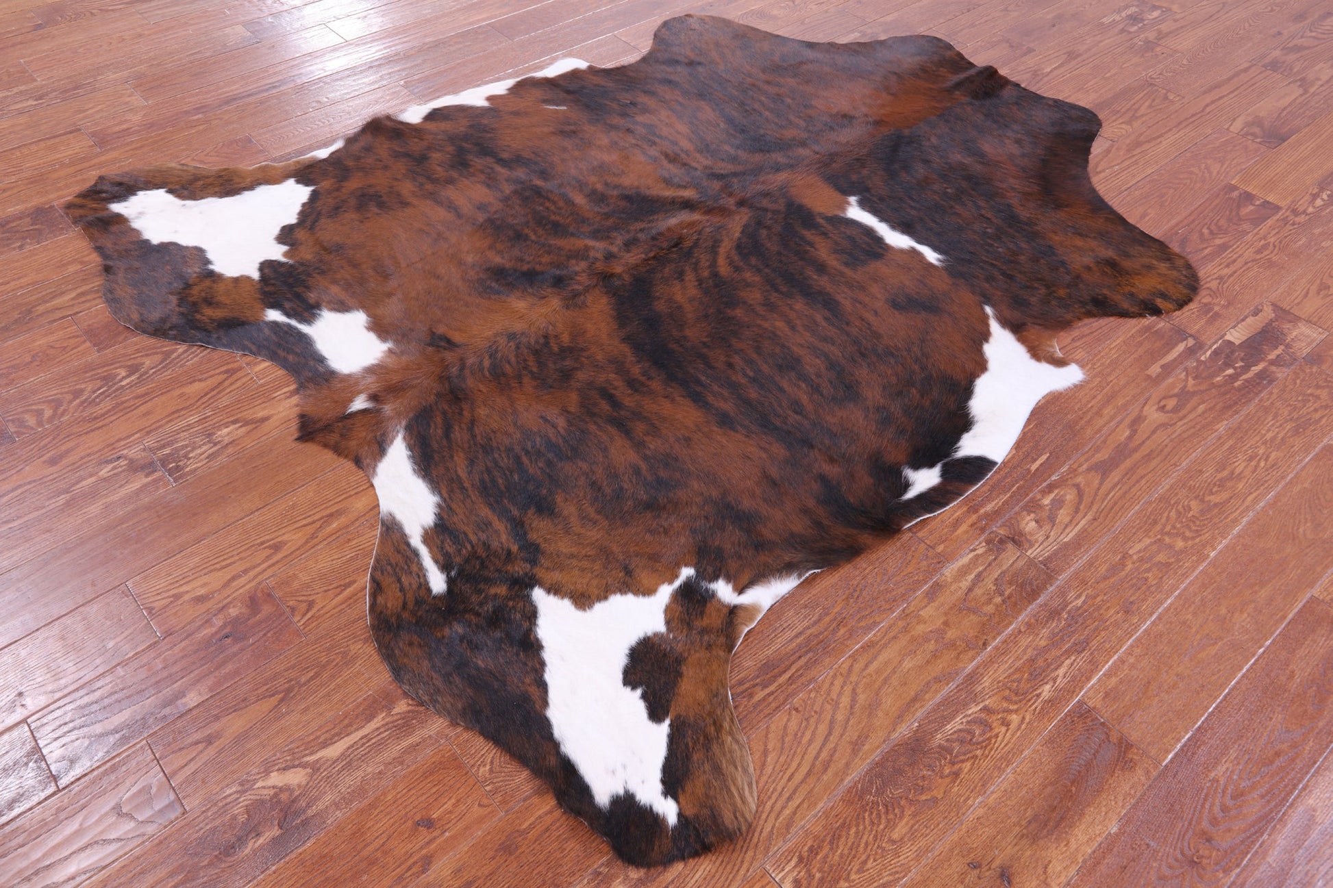 Tricolor Natural Hair-On Cowhide Rug - 7' 0" X 6' 2" - Golden Nile