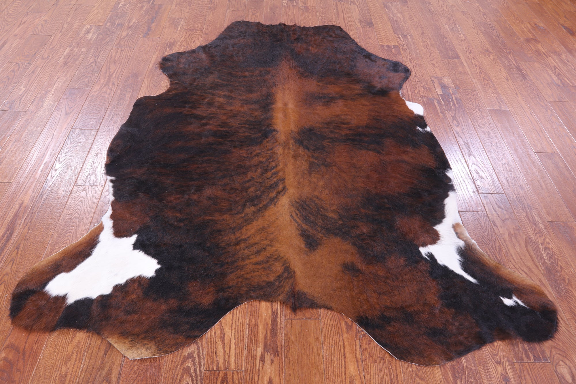 Tricolor Natural Hair-On Cowhide Rug - 7' 1" X 6' 4" - Golden Nile