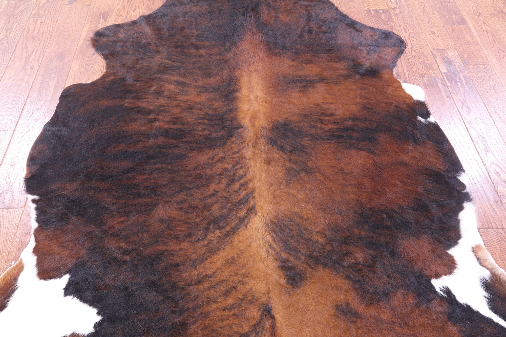 Tricolor Natural Hair-On Cowhide Rug - 7' 1" X 6' 4" - Golden Nile