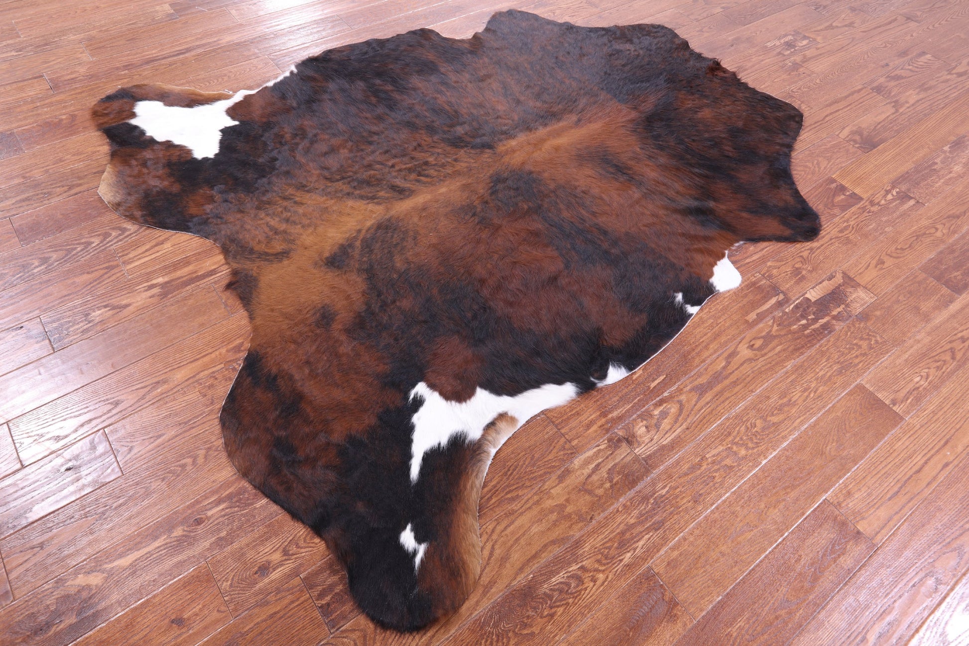 Tricolor Natural Hair-On Cowhide Rug - 7' 1" X 6' 4" - Golden Nile