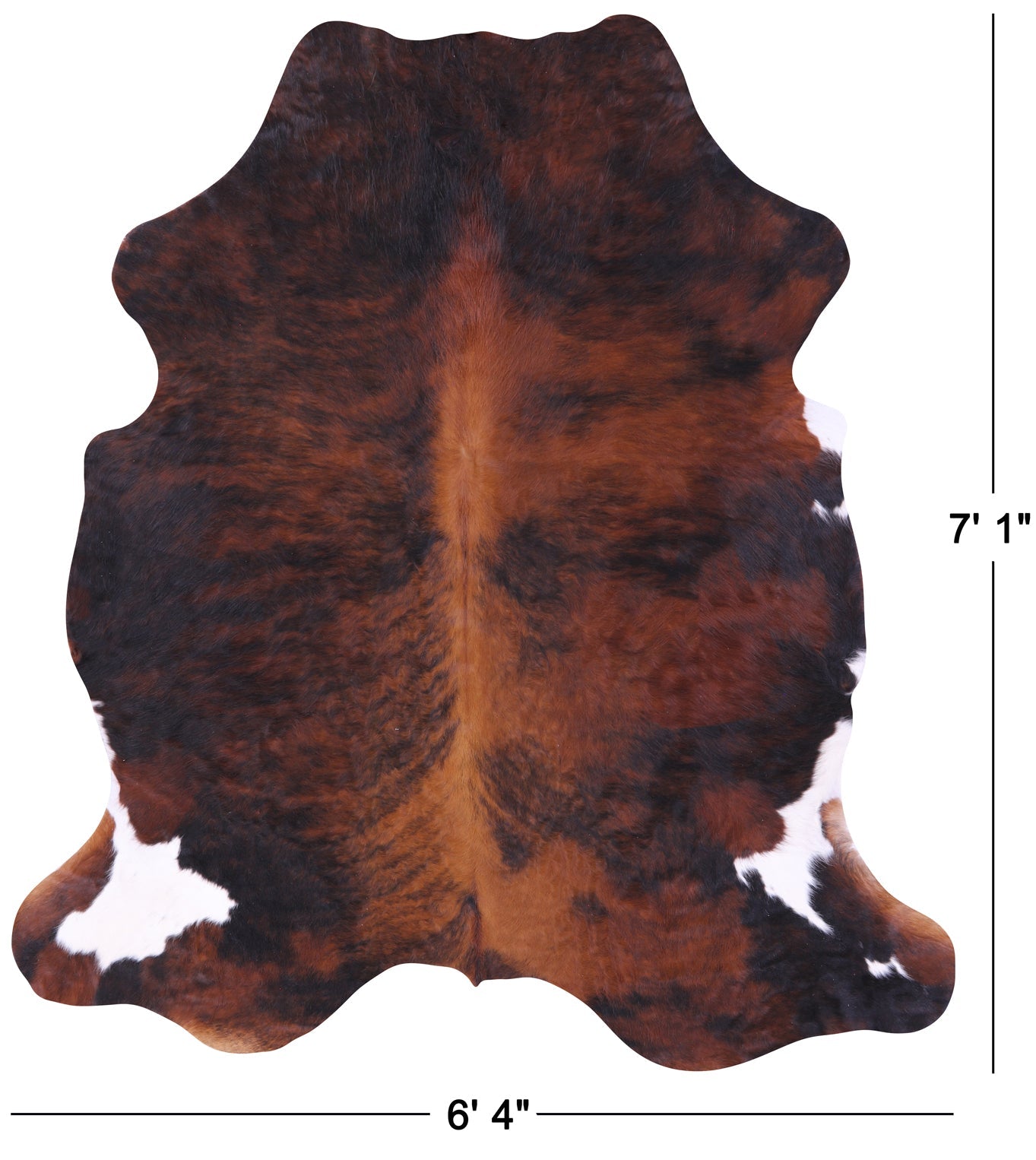 Tricolor Natural Hair-On Cowhide Rug - 7' 1" X 6' 4" - Golden Nile