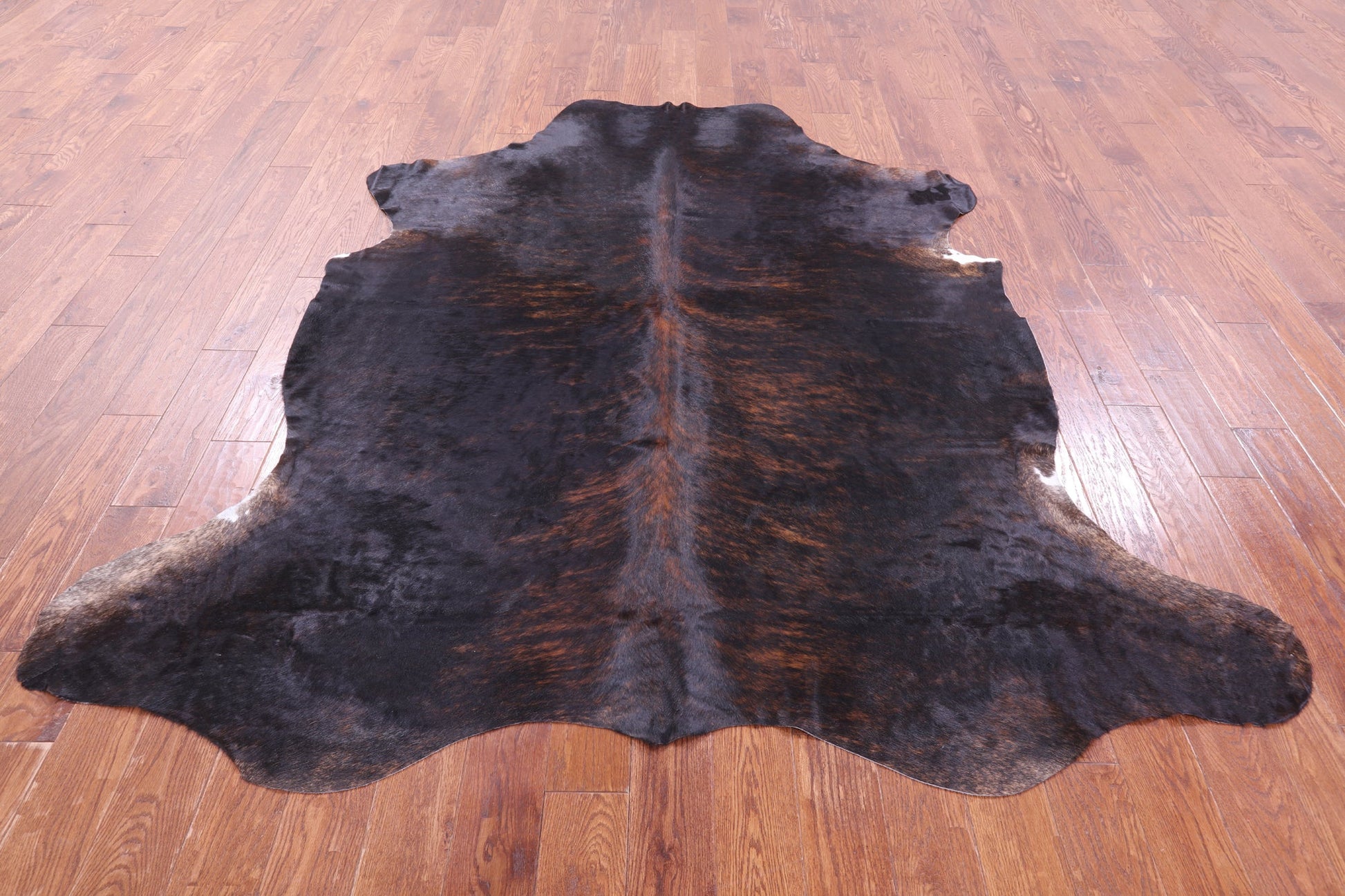 Brindle Natural Hair-On Cowhide Rug - 7' 8" X 7' 1" - Golden Nile