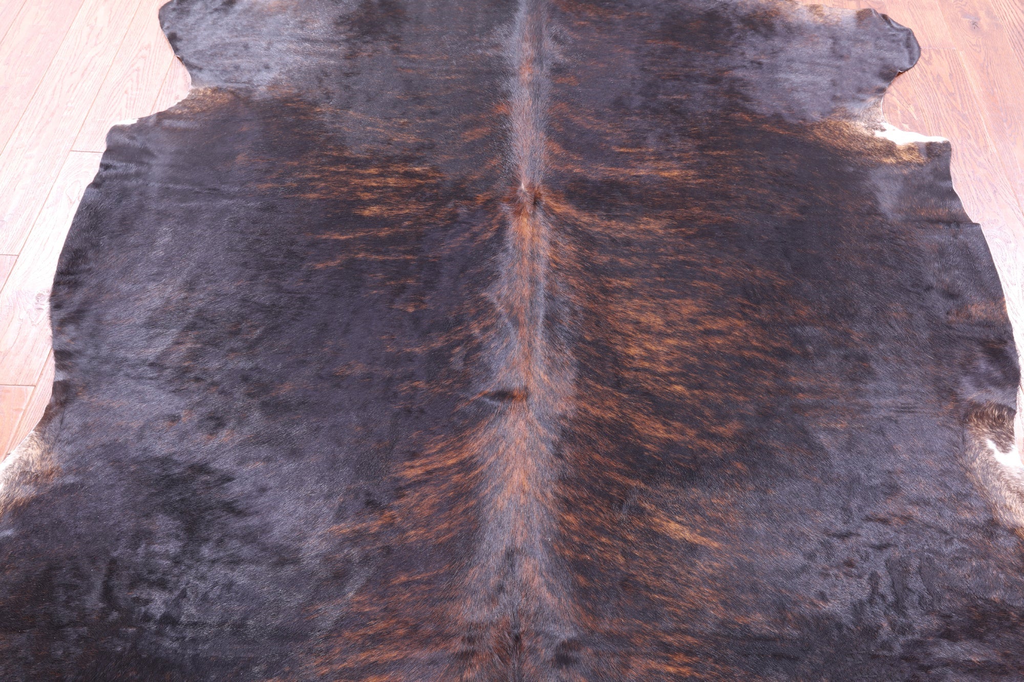 Brindle Natural Hair-On Cowhide Rug - 7' 8" X 7' 1" - Golden Nile