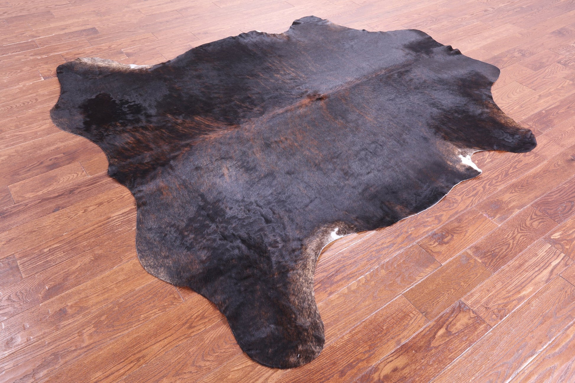 Brindle Natural Hair-On Cowhide Rug - 7' 8" X 7' 1" - Golden Nile