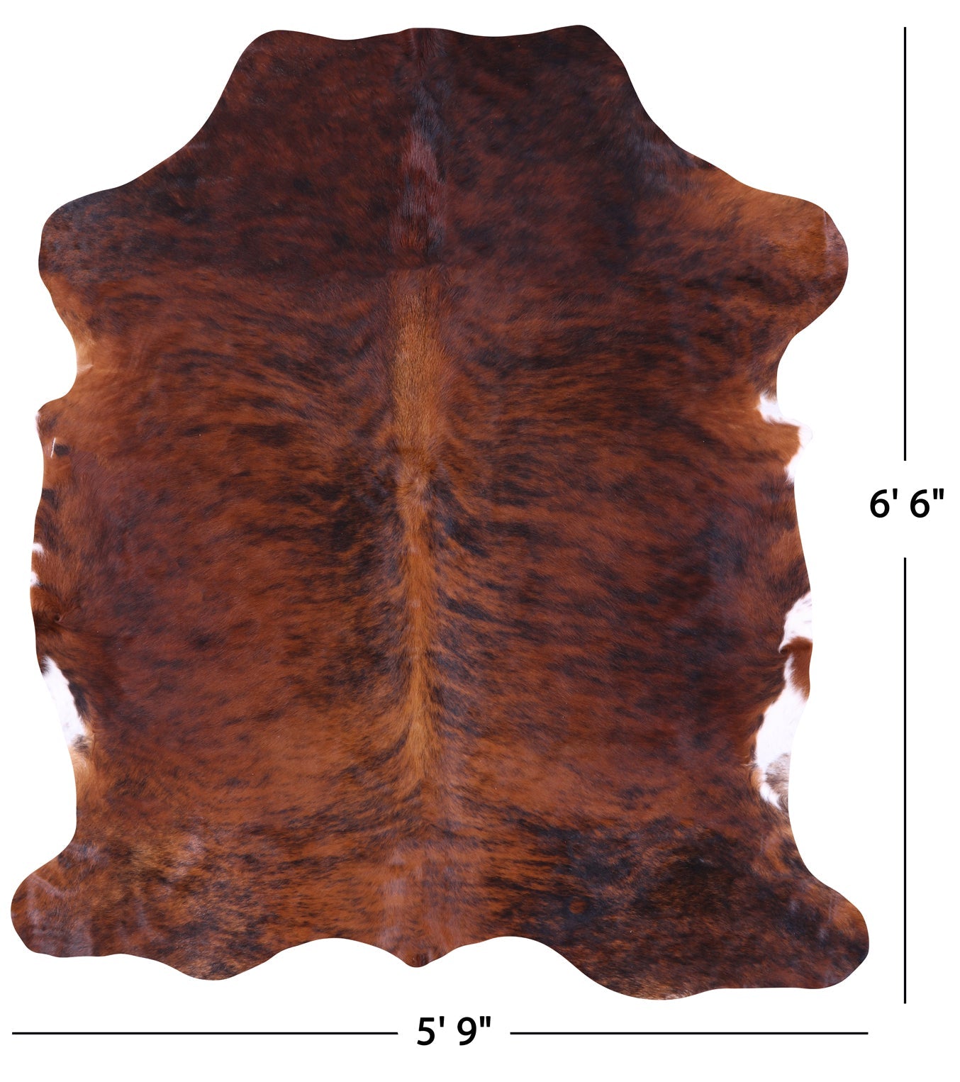 Brindle Natural Hair-On Cowhide Rug - 6' 6" X 5' 9" - Golden Nile