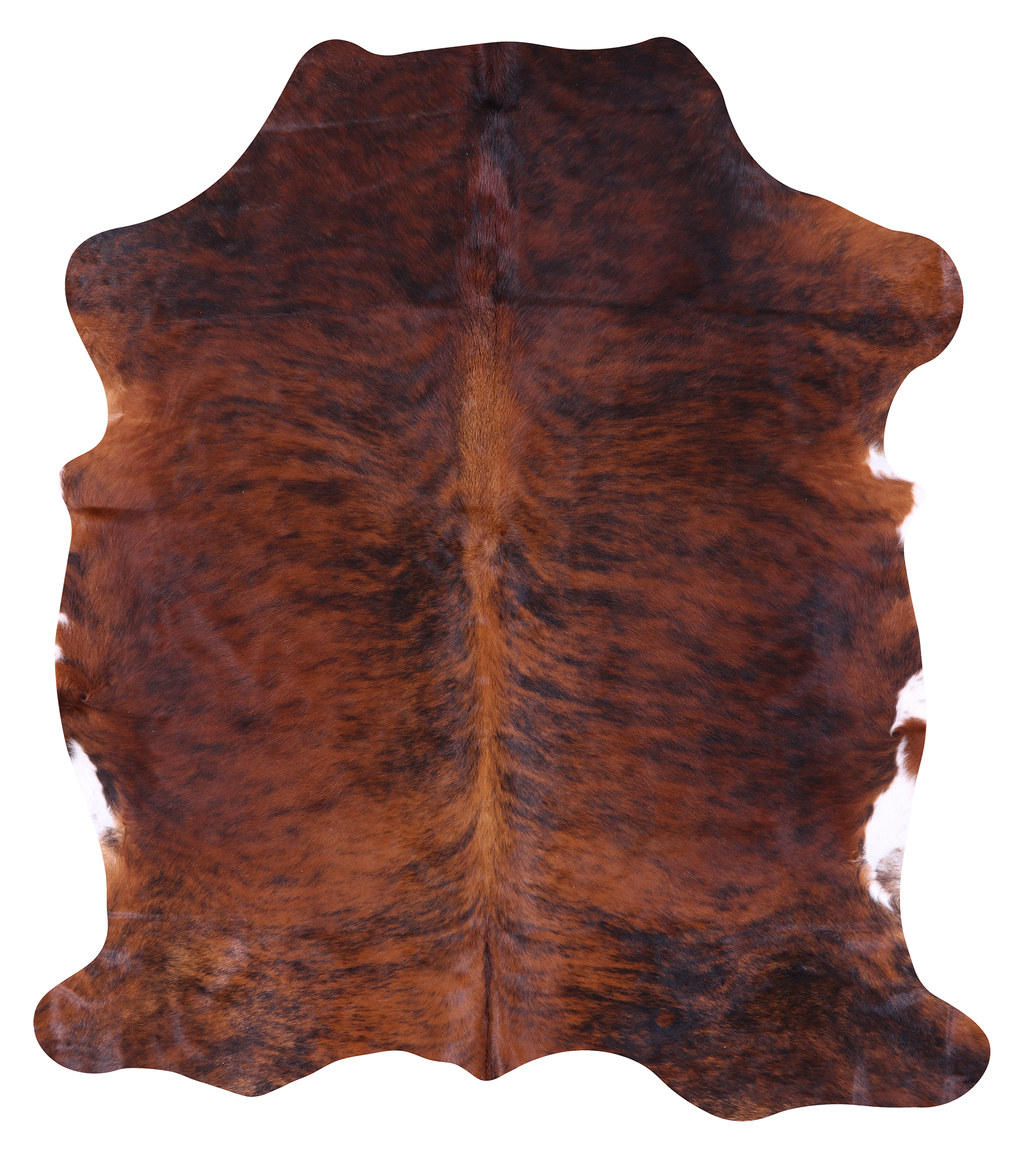 Brindle Natural Hair-On Cowhide Rug - 6' 6" X 5' 9" - Golden Nile