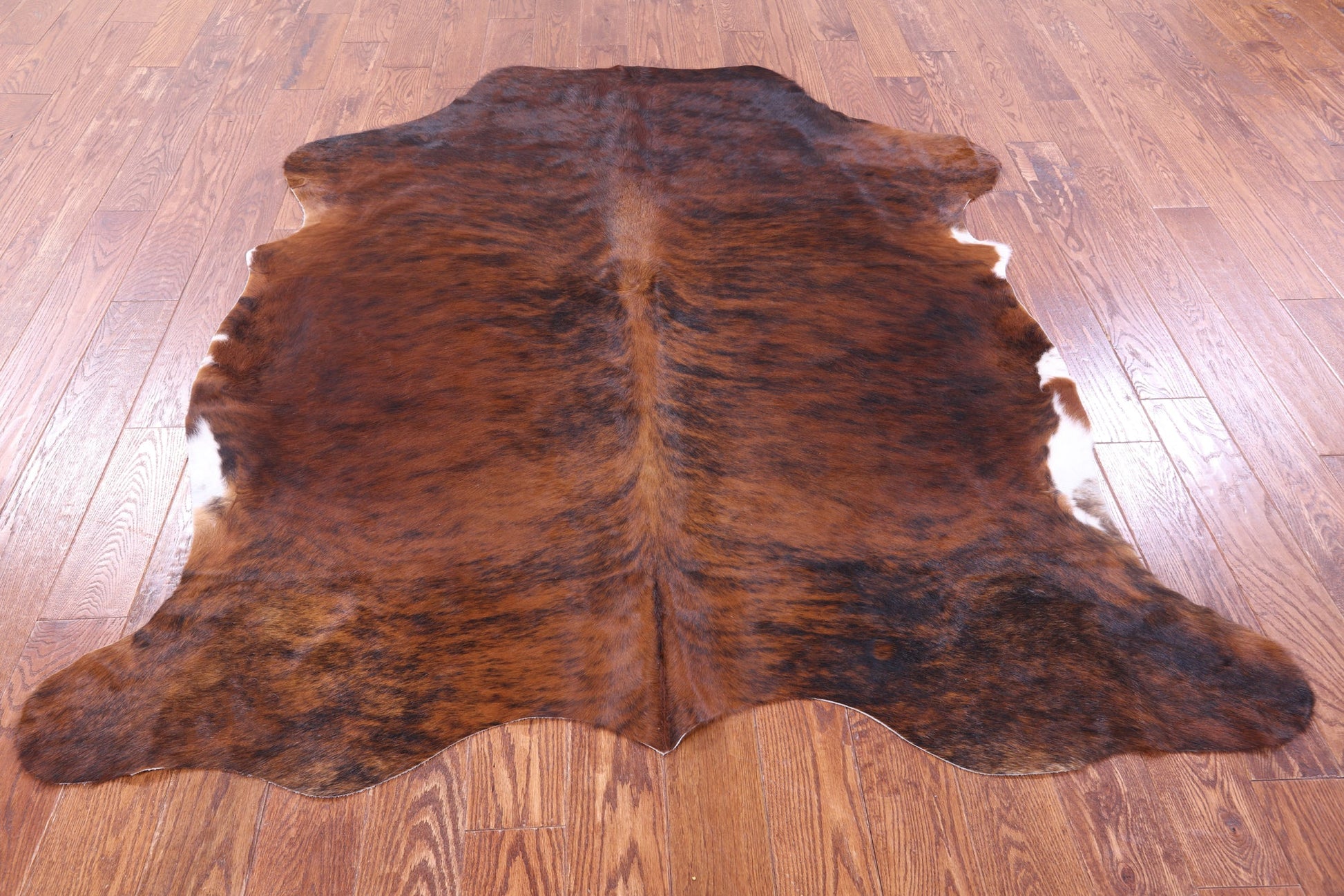 Brindle Natural Hair-On Cowhide Rug - 6' 6" X 5' 9" - Golden Nile