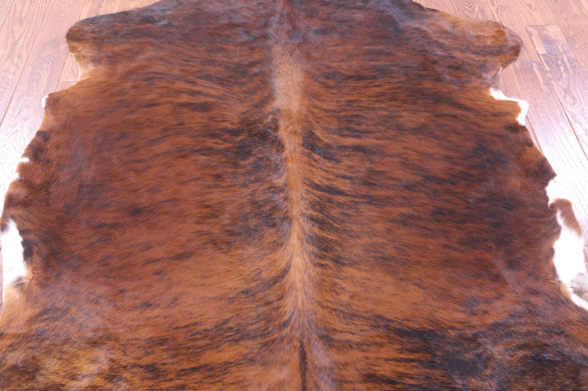 Brindle Natural Hair-On Cowhide Rug - 6' 6" X 5' 9" - Golden Nile