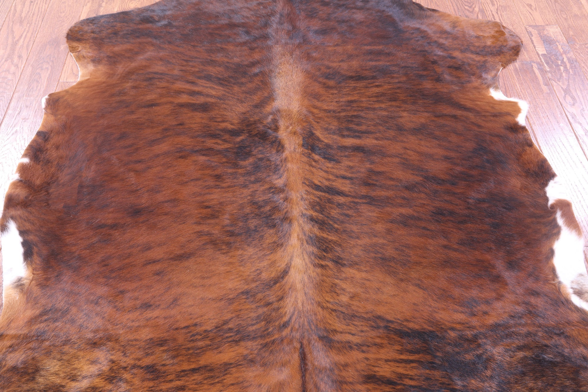 Brindle Natural Hair-On Cowhide Rug - 6' 6" X 5' 9" - Golden Nile