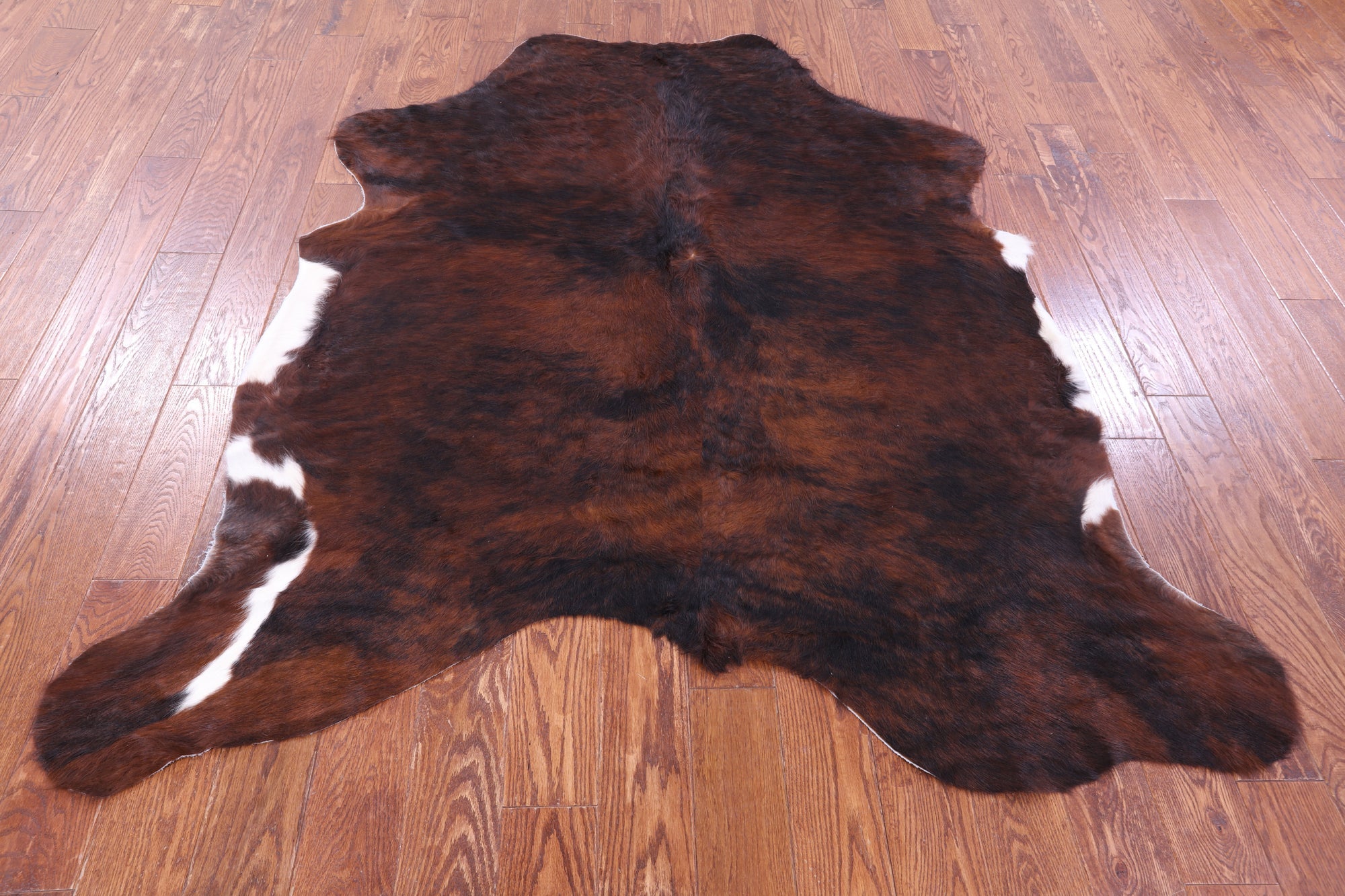 Brown Natural Hair-On Cowhide Rug - 6' 5" X 5' 11" - Golden Nile