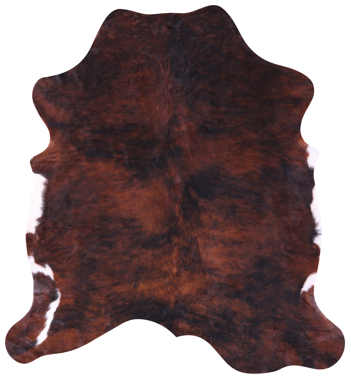 Brown Natural Hair-On Cowhide Rug - 6' 5" X 5' 11" - Golden Nile