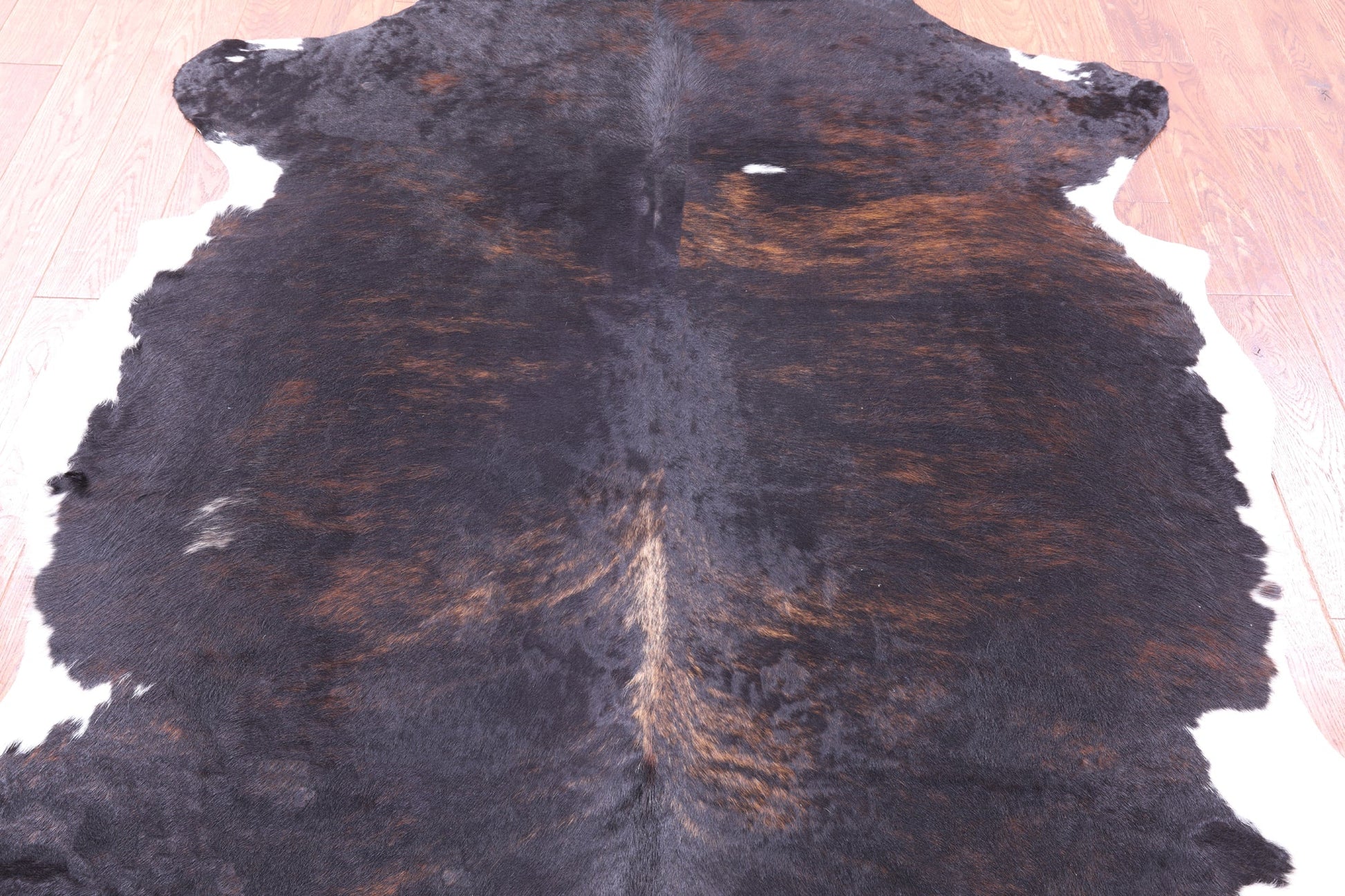 Tricolor Natural Hair-On Cowhide Rug - 6' 11" X 6' 2" - Golden Nile