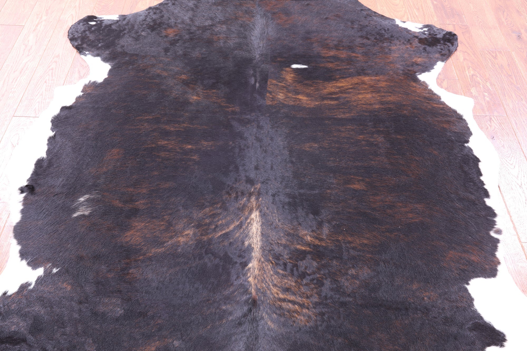 Tricolor Natural Hair-On Cowhide Rug - 6' 11" X 6' 2" - Golden Nile