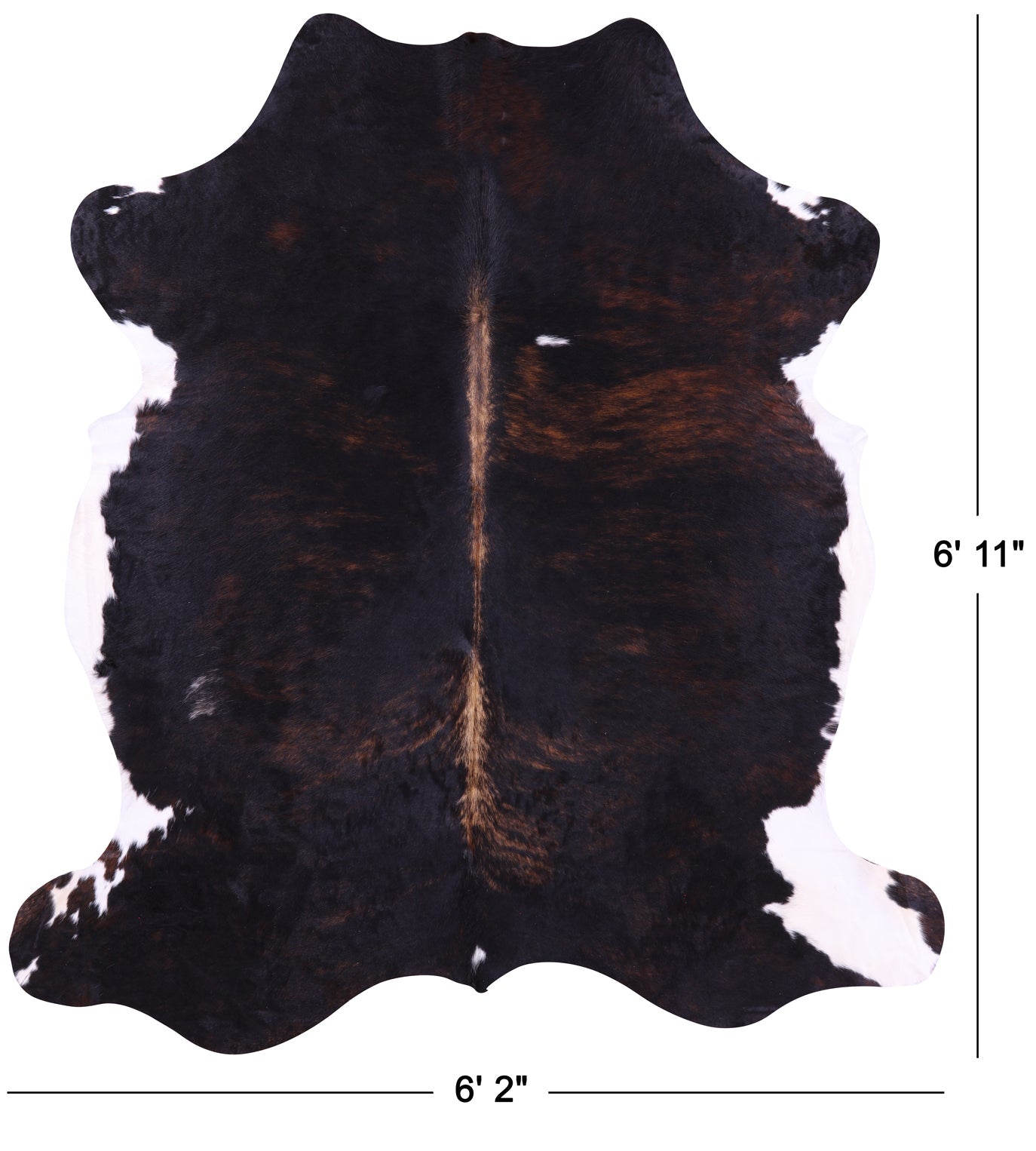 Tricolor Natural Hair-On Cowhide Rug - 6' 11" X 6' 2" - Golden Nile