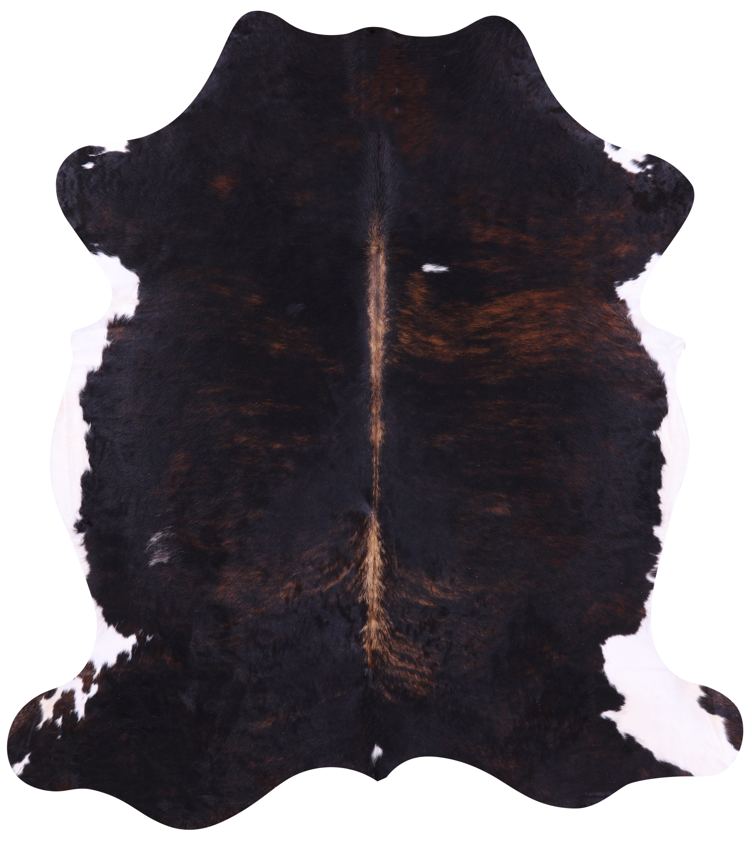 Tricolor Natural Hair-On Cowhide Rug - 6' 11" X 6' 2" - Golden Nile