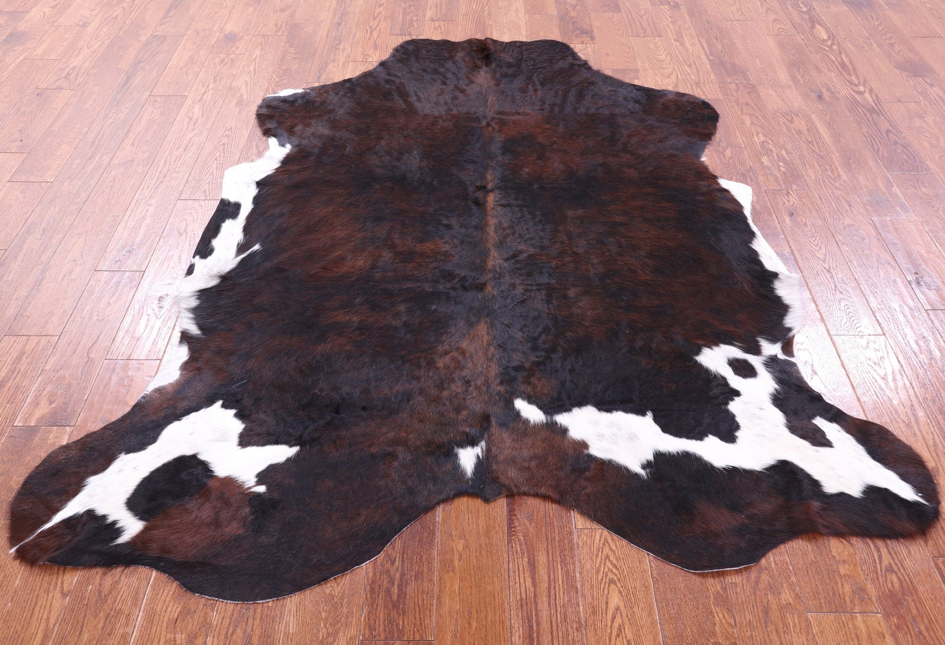 Tricolor Natural Hair-On Cowhide Rug - 6' 9" X 5' 10" - Golden Nile