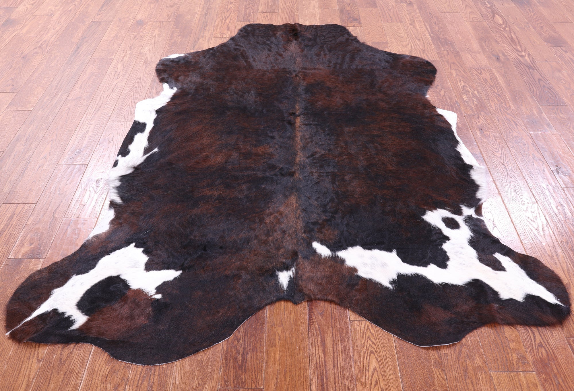 Tricolor Natural Hair-On Cowhide Rug - 6' 9" X 5' 10" - Golden Nile