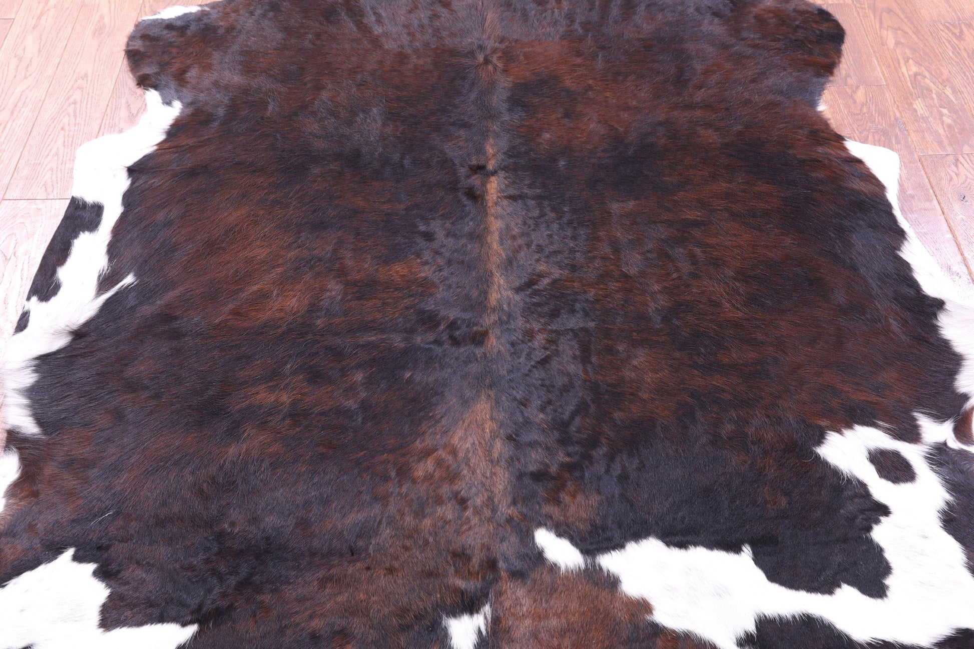 Tricolor Natural Hair-On Cowhide Rug - 6' 9" X 5' 10" - Golden Nile