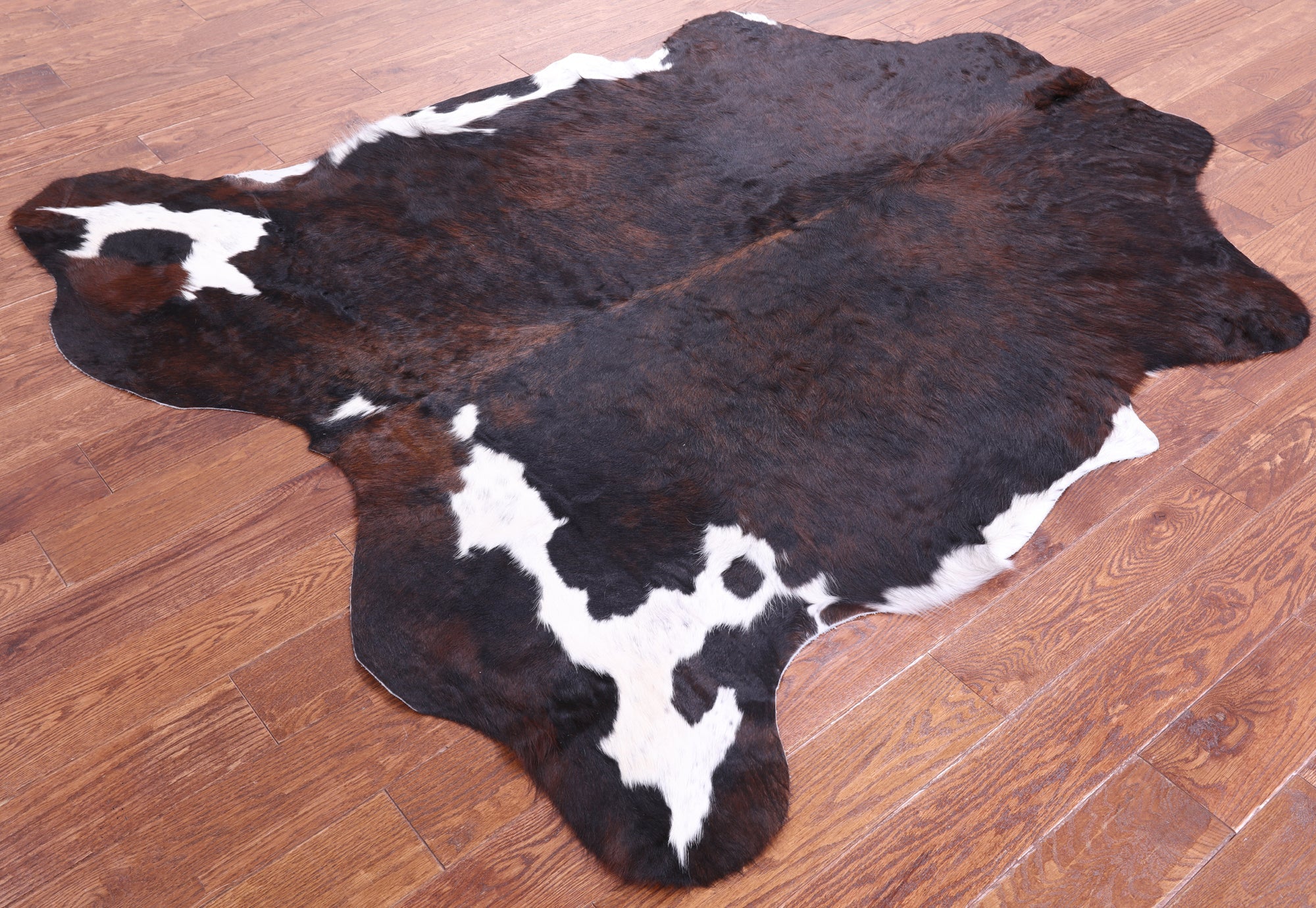 Tricolor Natural Hair-On Cowhide Rug - 6' 9" X 5' 10" - Golden Nile
