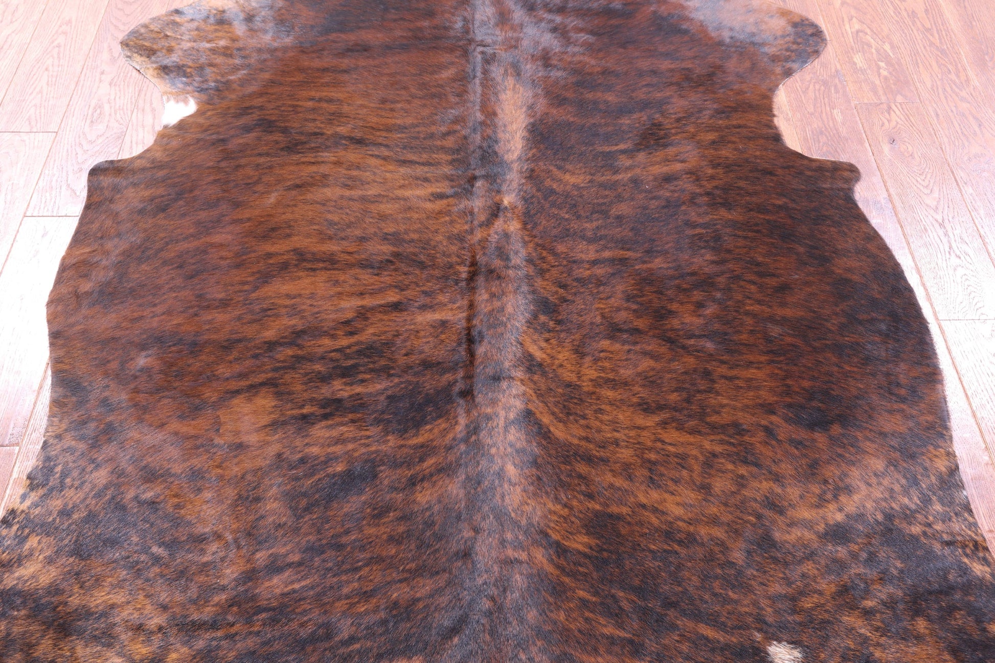 Brindle Natural Hair-On Cowhide Rug - 6' 11" X 5' 2" - Golden Nile