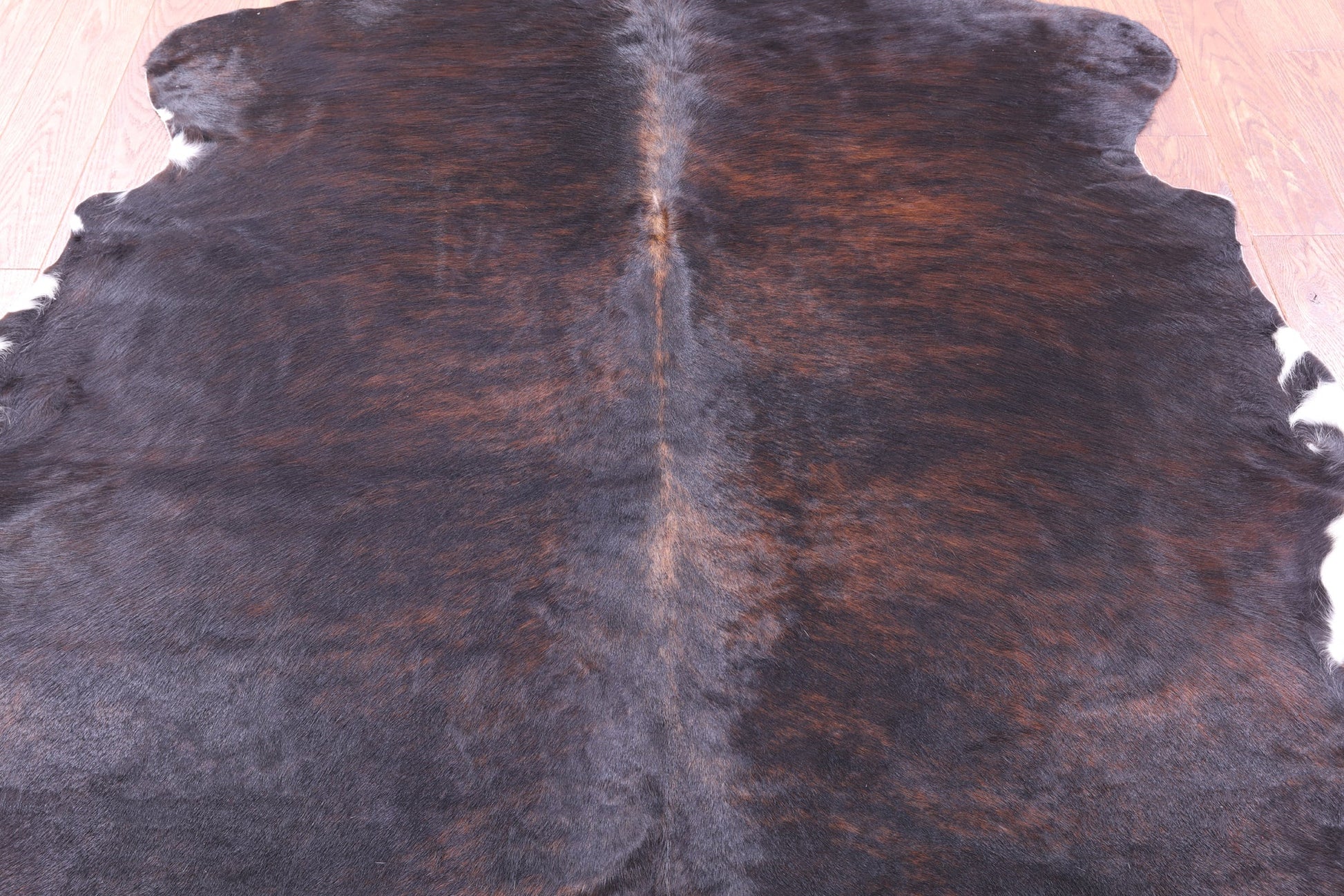 Brown Natural Hair-On Cowhide Rug - 6' 6" X 5' 11" - Golden Nile