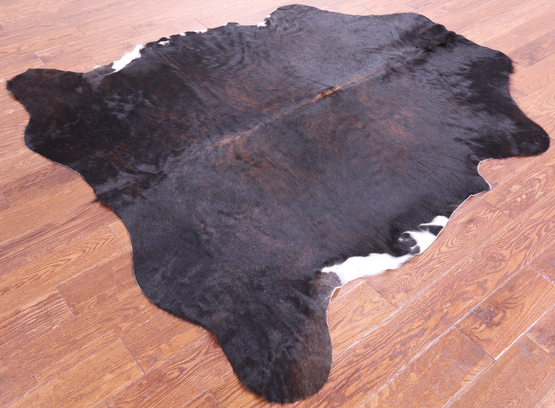 Brown Natural Hair-On Cowhide Rug - 6' 6" X 5' 11" - Golden Nile