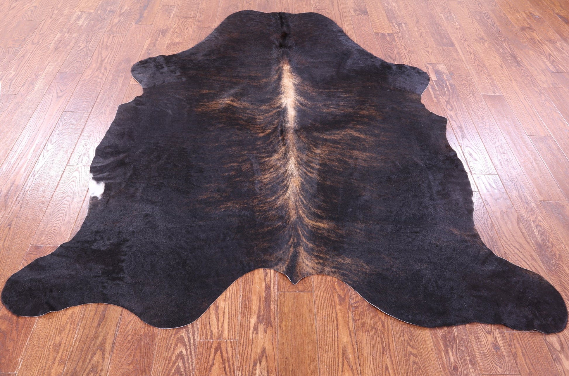 Brown Natural Hair-On Cowhide Rug - 7' 0" X 6' 4" - Golden Nile