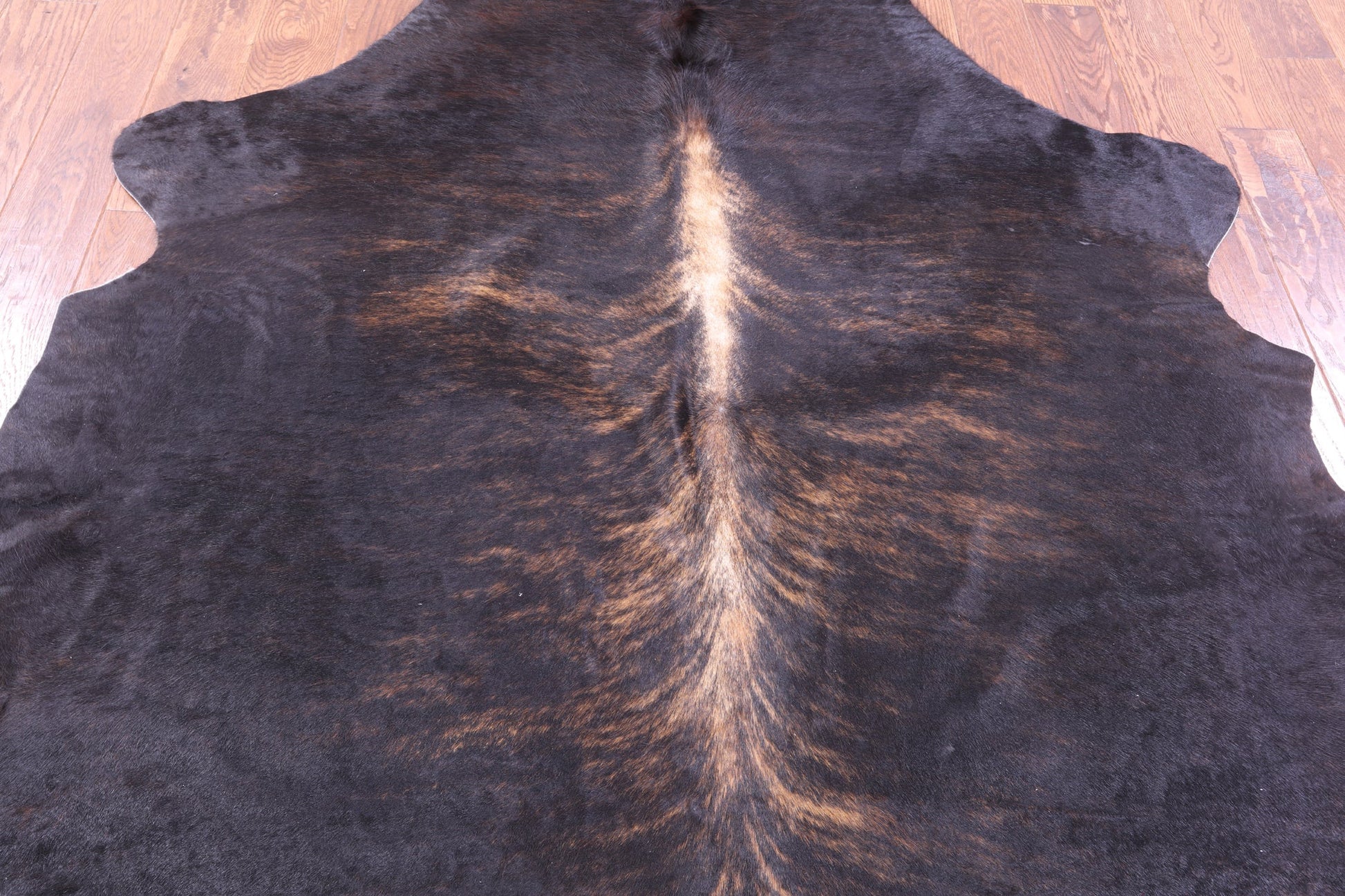 Brown Natural Hair-On Cowhide Rug - 7' 0" X 6' 4" - Golden Nile