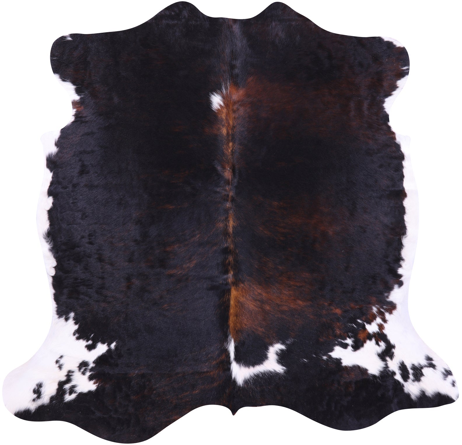 Tricolor Natural Hair-On Cowhide Rug - 6' 1" X 6' 4" - Golden Nile