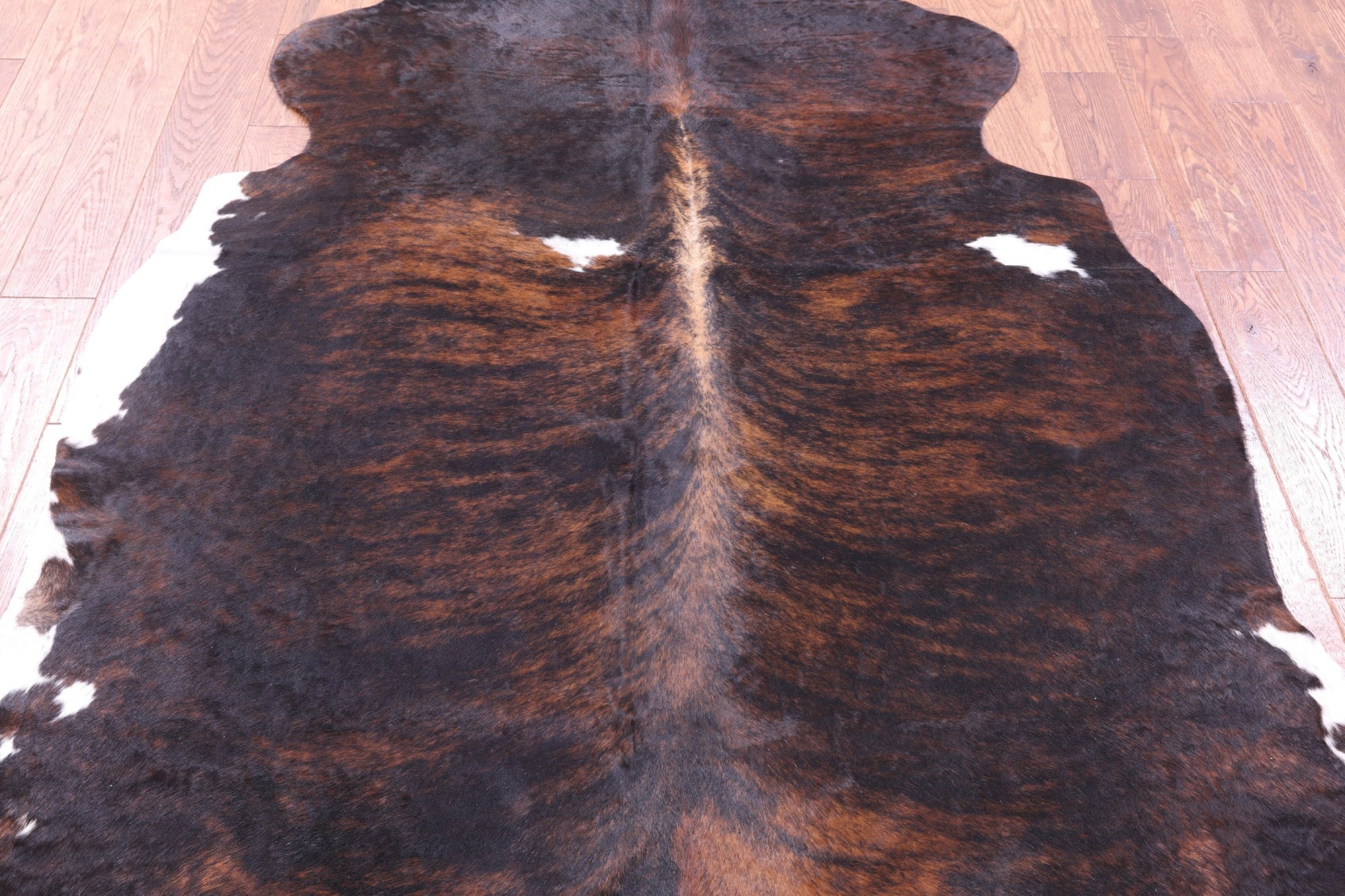 Tricolor Natural Hair-On Cowhide Rug - 6' 10" X 6' 2" - Golden Nile