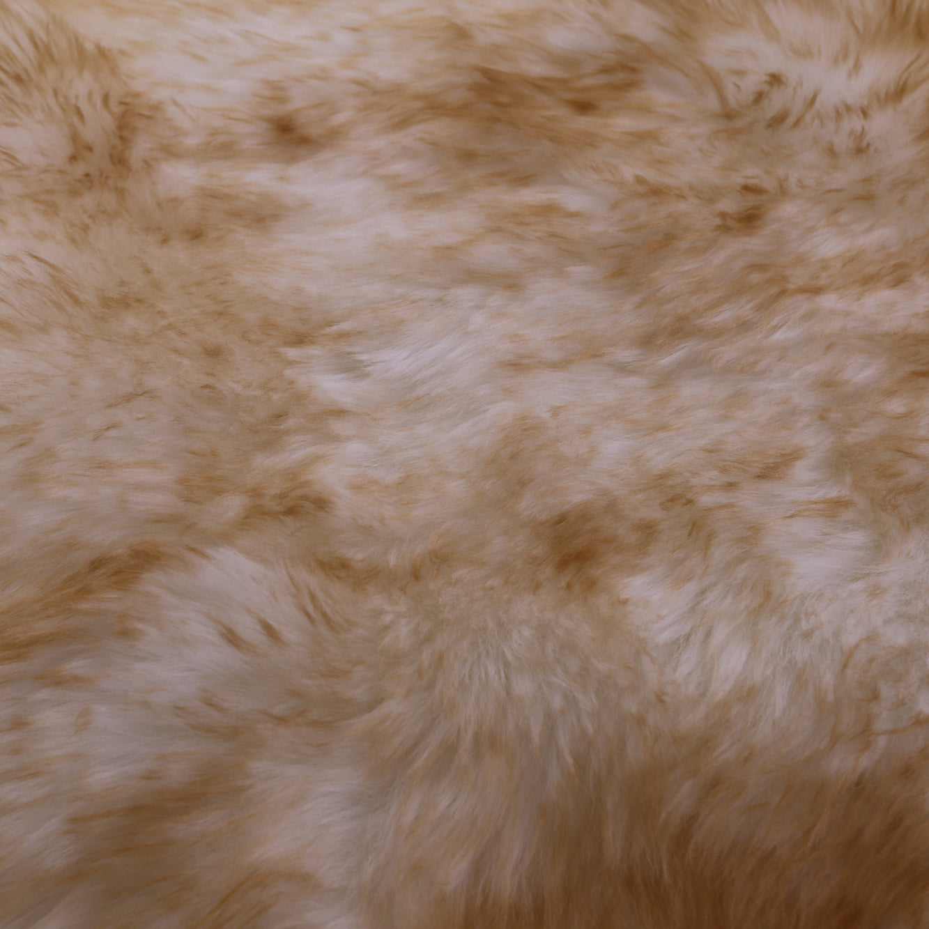 Brown Premium Australian Natural Sheepskin Rug - 2' 0" X 3' 0" - Golden Nile